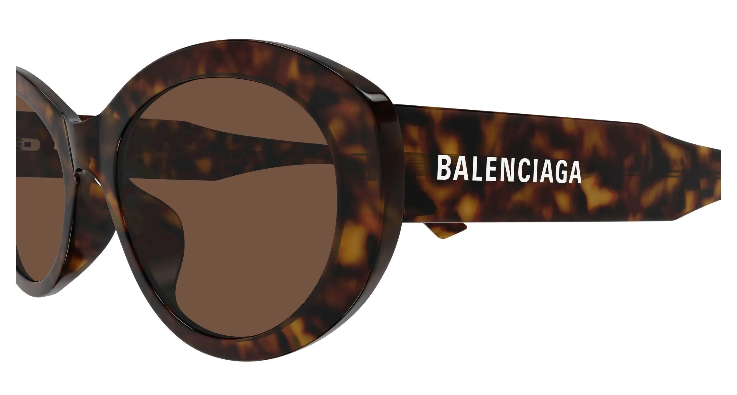Balenciaga BB0446S 002 Occhiali da sole Acetato Havana Marrone Rotonda - immagine 3