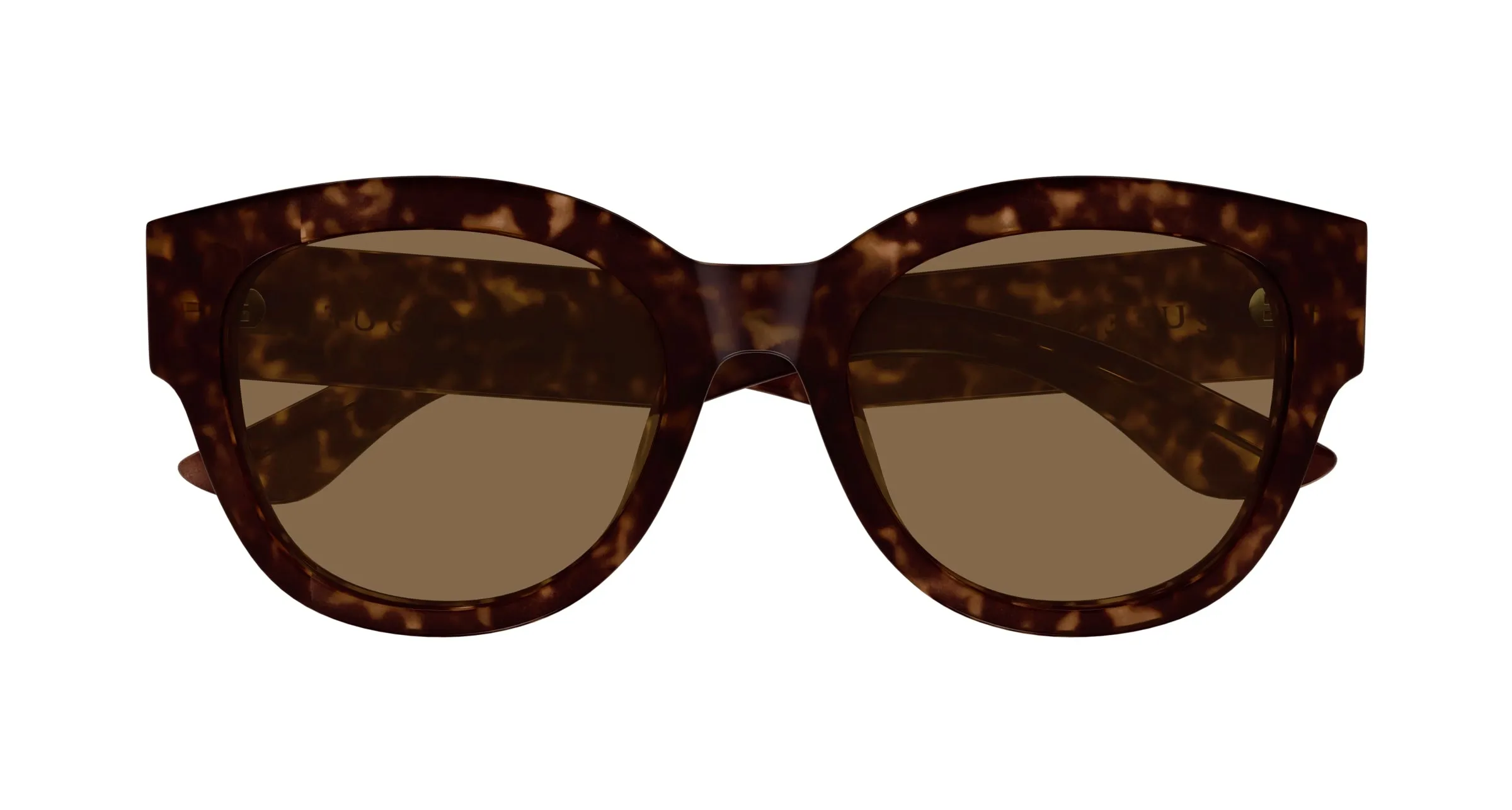 Alexander McQueen AM0509SA 002 Occhiali da sole Acetato Havana Marrone Cat Eye - immagine 2