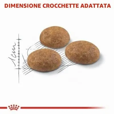 Royal Canin Cibo Secco per Gatti Adulti Outdoor - 10000 gr - immagine 3