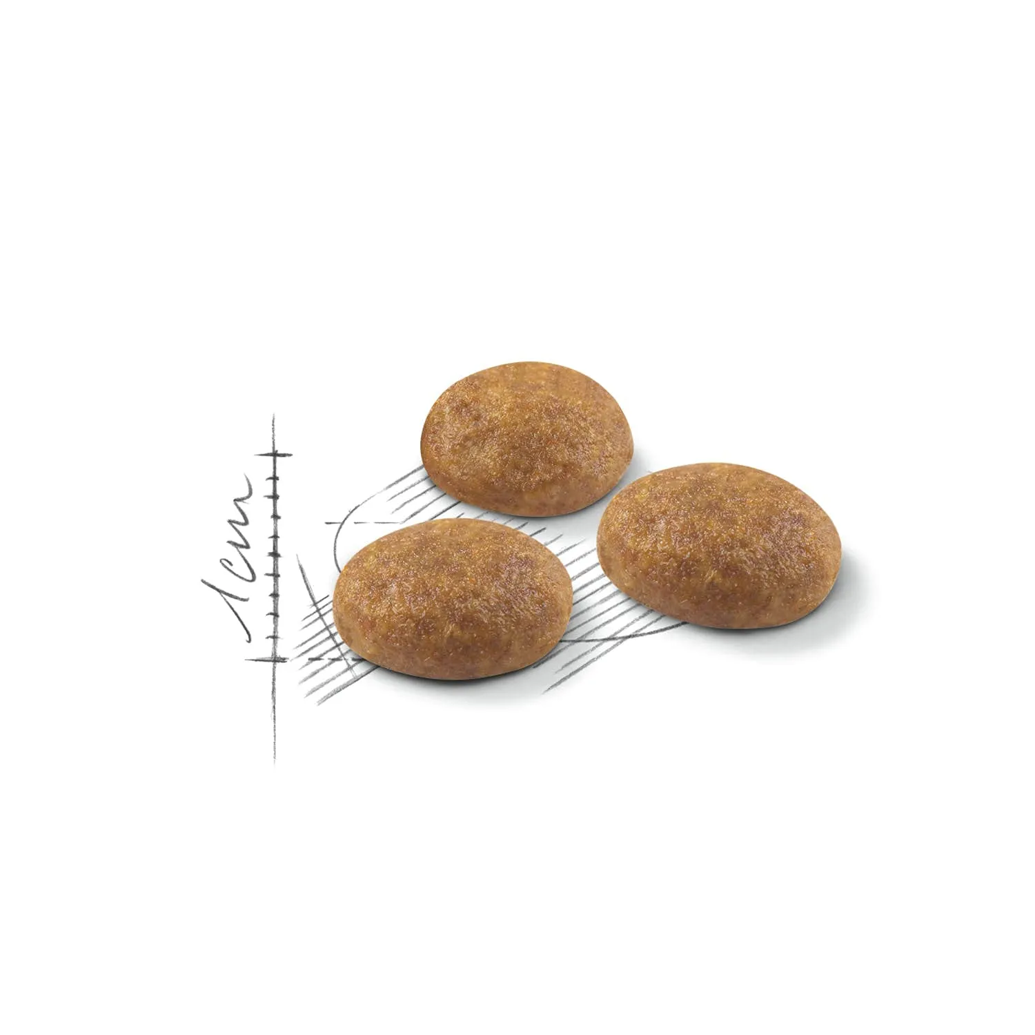 Royal Canin Cibo Secco per Gatti Adulti Outdoor - 4000 gr - immagine 2