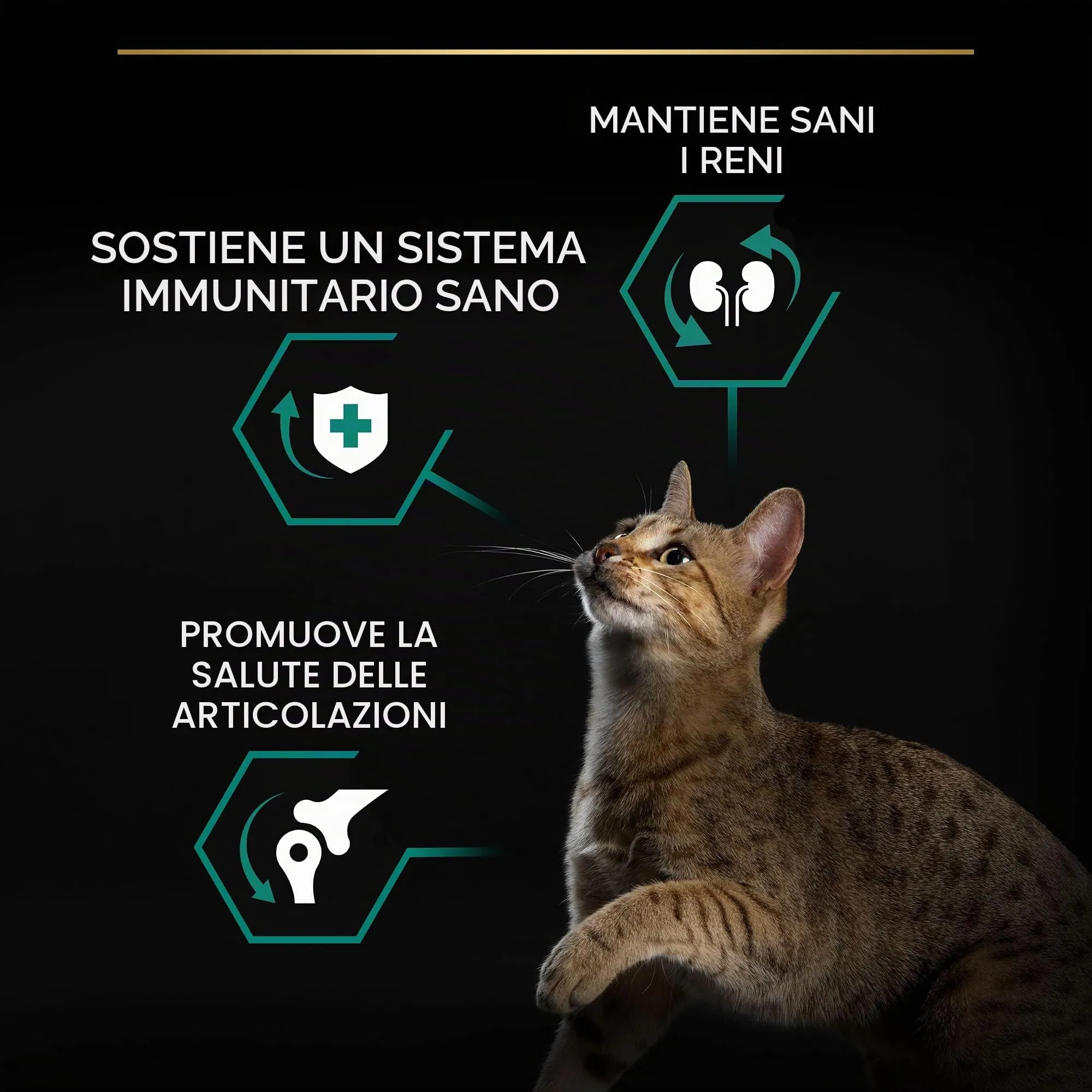 Purina Pro Plan Renal Plus Crocchette Gatti Adulti Ricco in Pollo 3kg - immagine 6