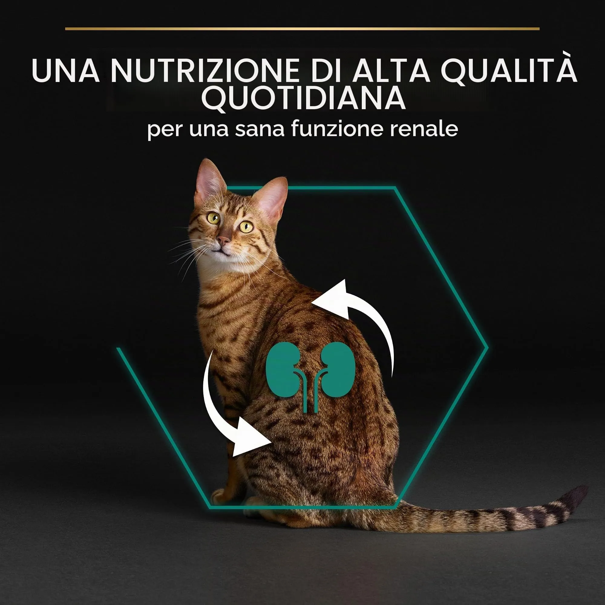 Purina Pro Plan Renal Plus Crocchette Gatti Adulti Ricco in Pollo 3kg - immagine 7