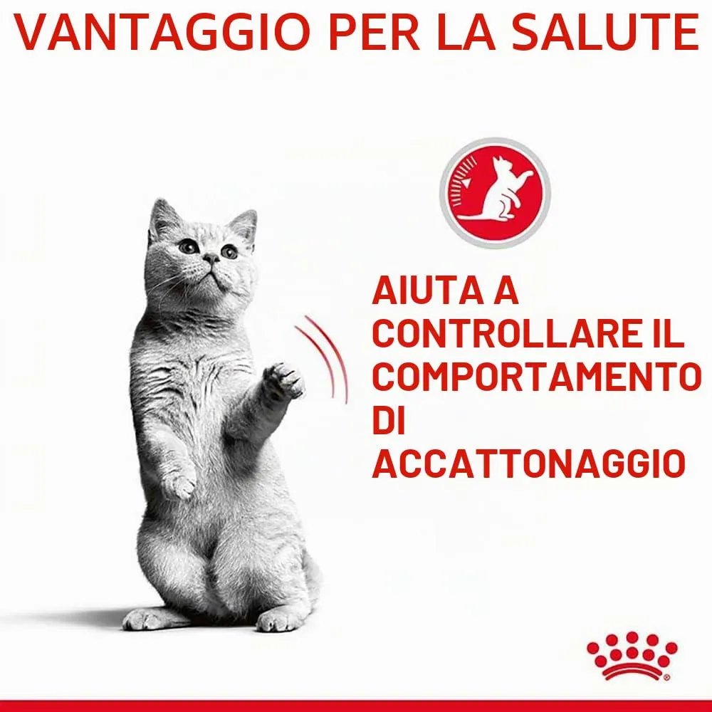 Royal Canin Appetite Control Care | 2 kg | Cibo secco per gatti adulti fino a 7 anni | Per il controllo del comportamento di richiesta di cibo | Adatto anche per gatti sterilizzati - immagine 6