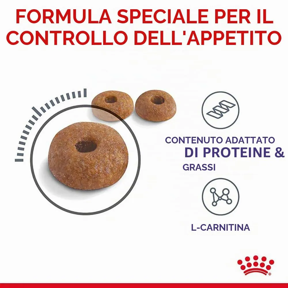 Royal Canin Appetite Control Care | 2 kg | Cibo secco per gatti adulti fino a 7 anni | Per il controllo del comportamento di richiesta di cibo | Adatto anche per gatti sterilizzati - immagine 7