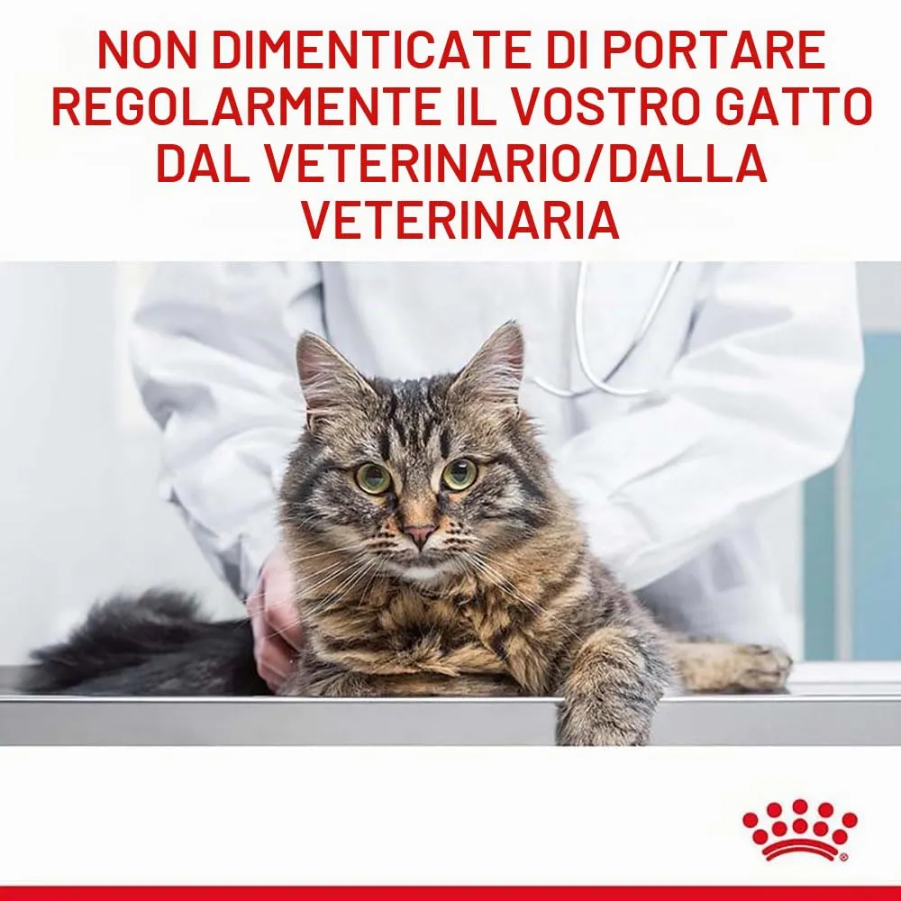 Royal Canin Appetite Control Care | 2 kg | Cibo secco per gatti adulti fino a 7 anni | Per il controllo del comportamento di richiesta di cibo | Adatto anche per gatti sterilizzati - immagine 11