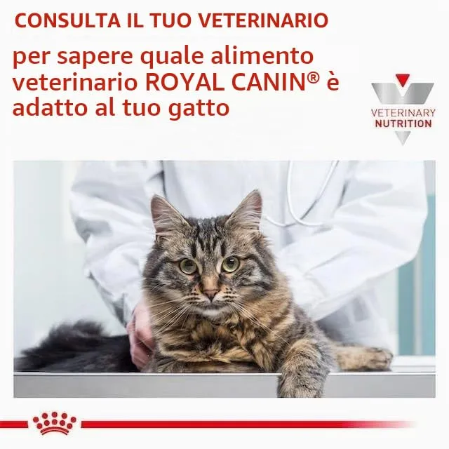 Royal Canin Veterinary Sensitivity Control Cat | 400 g | Alimento dietetico completo per gatti adulti | Può aiutare a ridurre i sintomi di intolleranza ai nutrienti | Con EPA e DHA - immagine 3