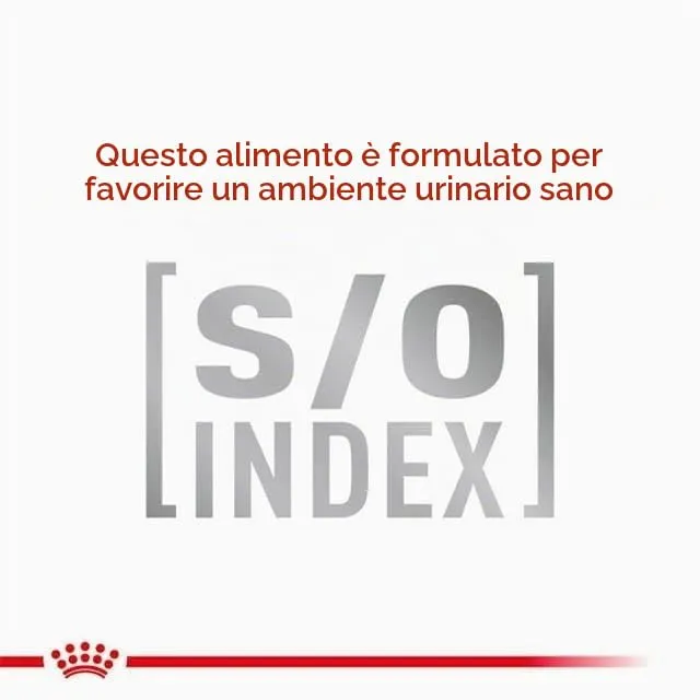 Royal Canin Veterinary Sensitivity Control Cat | 400 g | Alimento dietetico completo per gatti adulti | Può aiutare a ridurre i sintomi di intolleranza ai nutrienti | Con EPA e DHA - immagine 7