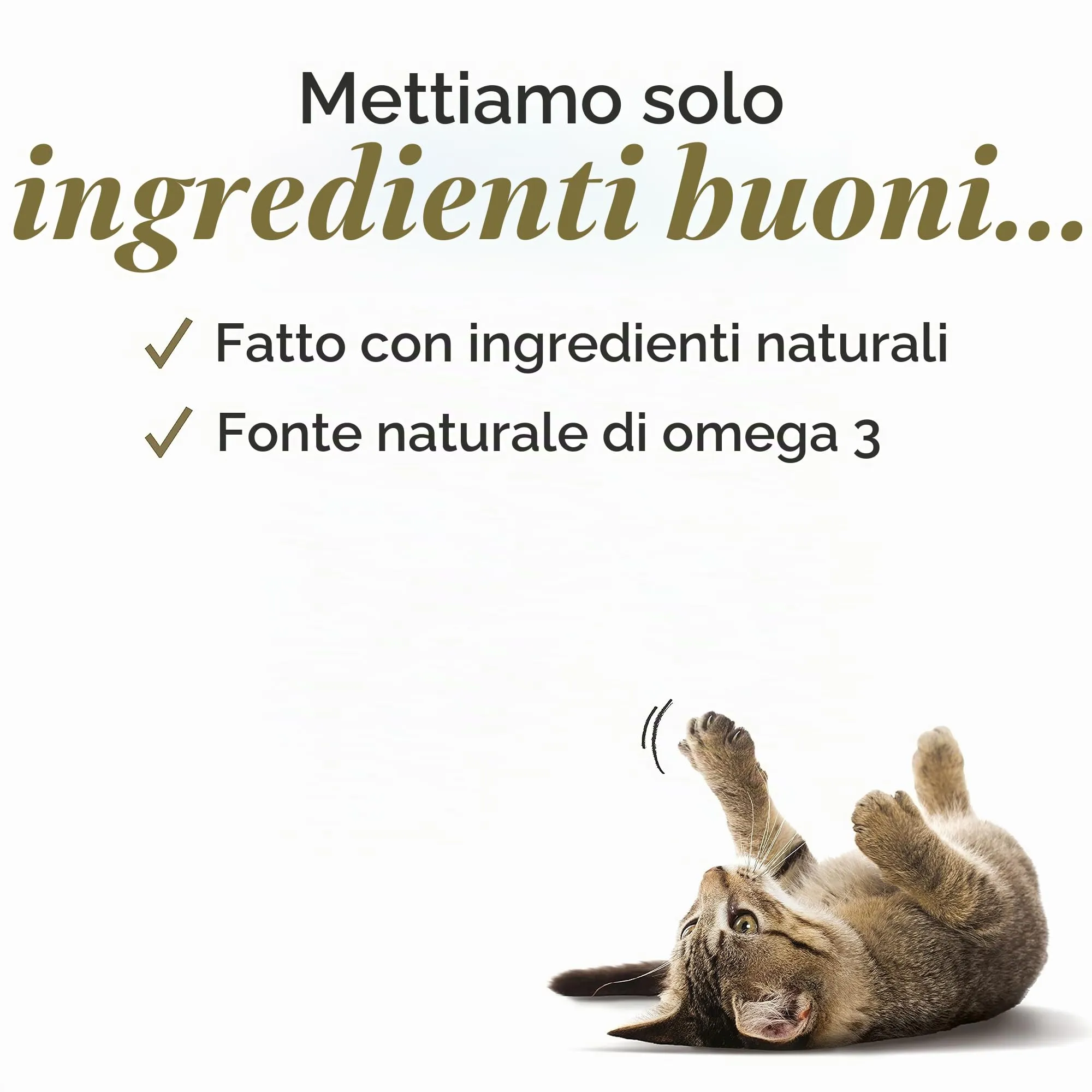 Applaws Cibo in Scatola per Gatti, Pollo, 24 x 70g - immagine 5