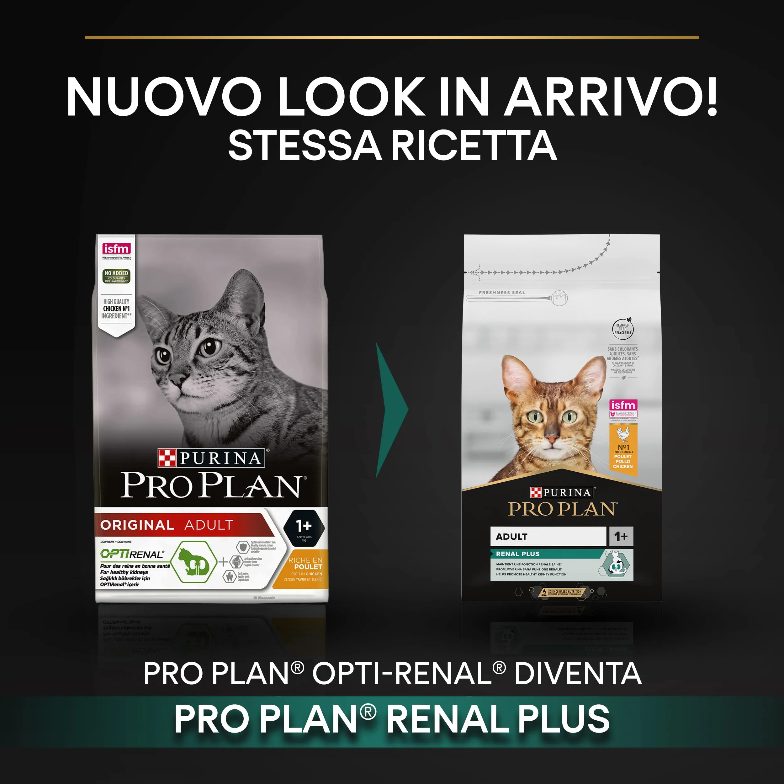 Purina Pro Plan Renal Plus Crocchette Gatti Adulti Ricco in Pollo, 6 Confezioni da 1,5 kg - immagine 2