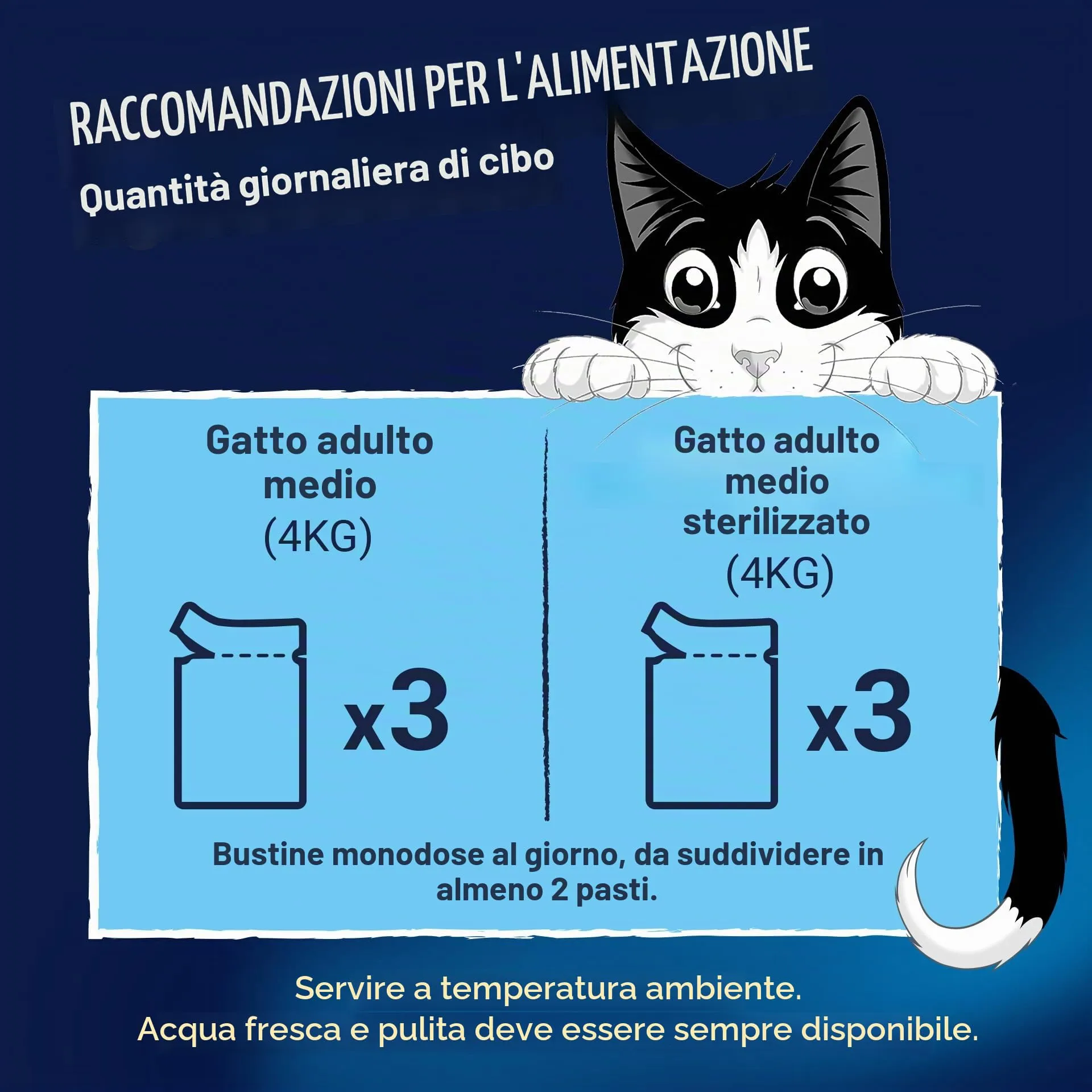 FELIX Ottimo come appare, doppio cibo per gatti bagnato in gelatina, mix di varietà di pesce, confezione da 6 (6 x 12 sacchetti da 85 g) - immagine 6