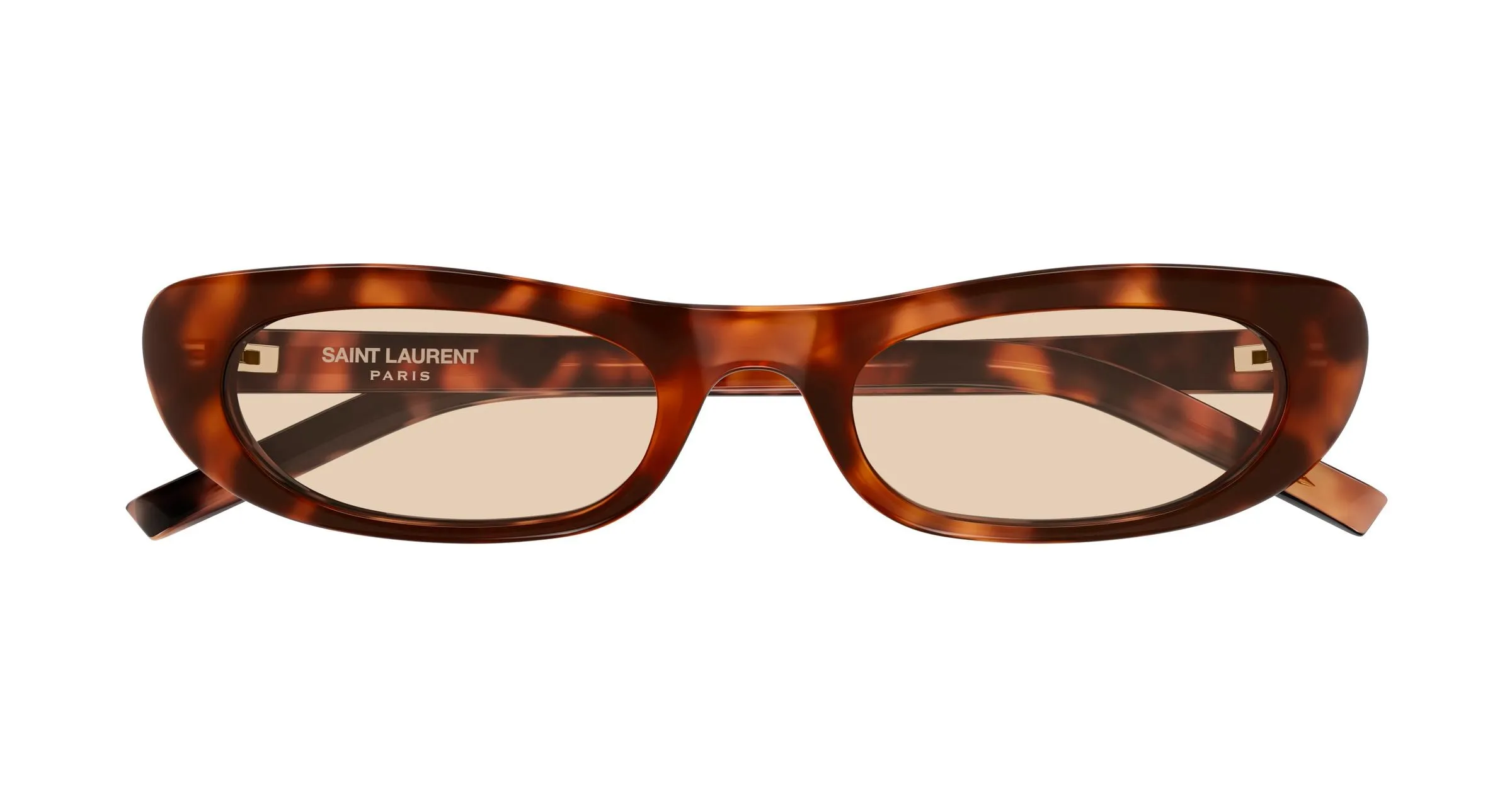 SAINT LAURENT SL 557 SHADE 008 Occhiali da sole Acetato Havana Marrone Rotonda - immagine 2