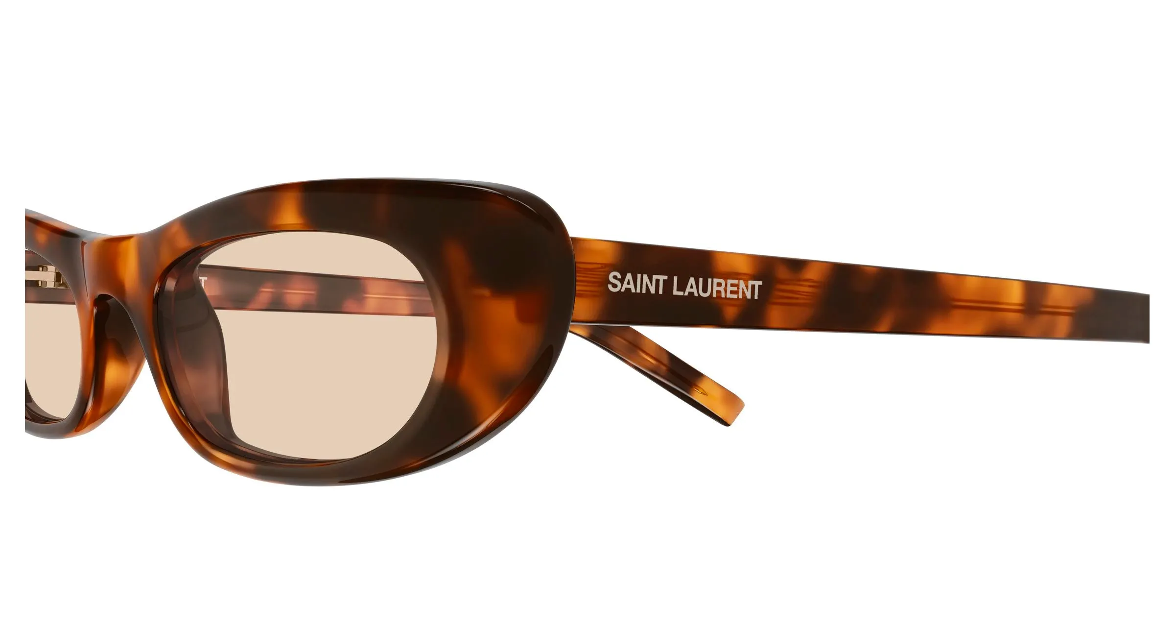 SAINT LAURENT SL 557 SHADE 008 Occhiali da sole Acetato Havana Marrone Rotonda - immagine 3