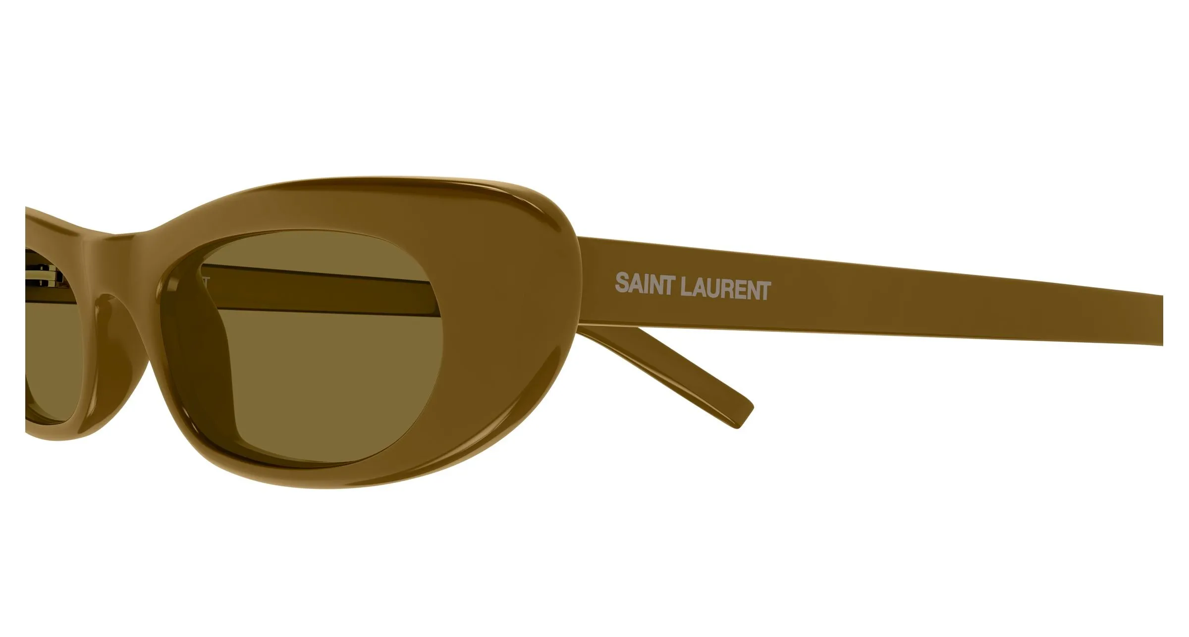 SAINT LAURENT SL 557 SHADE 006 Occhiali da sole Acetato Marrone Marrone Rotonda - immagine 3
