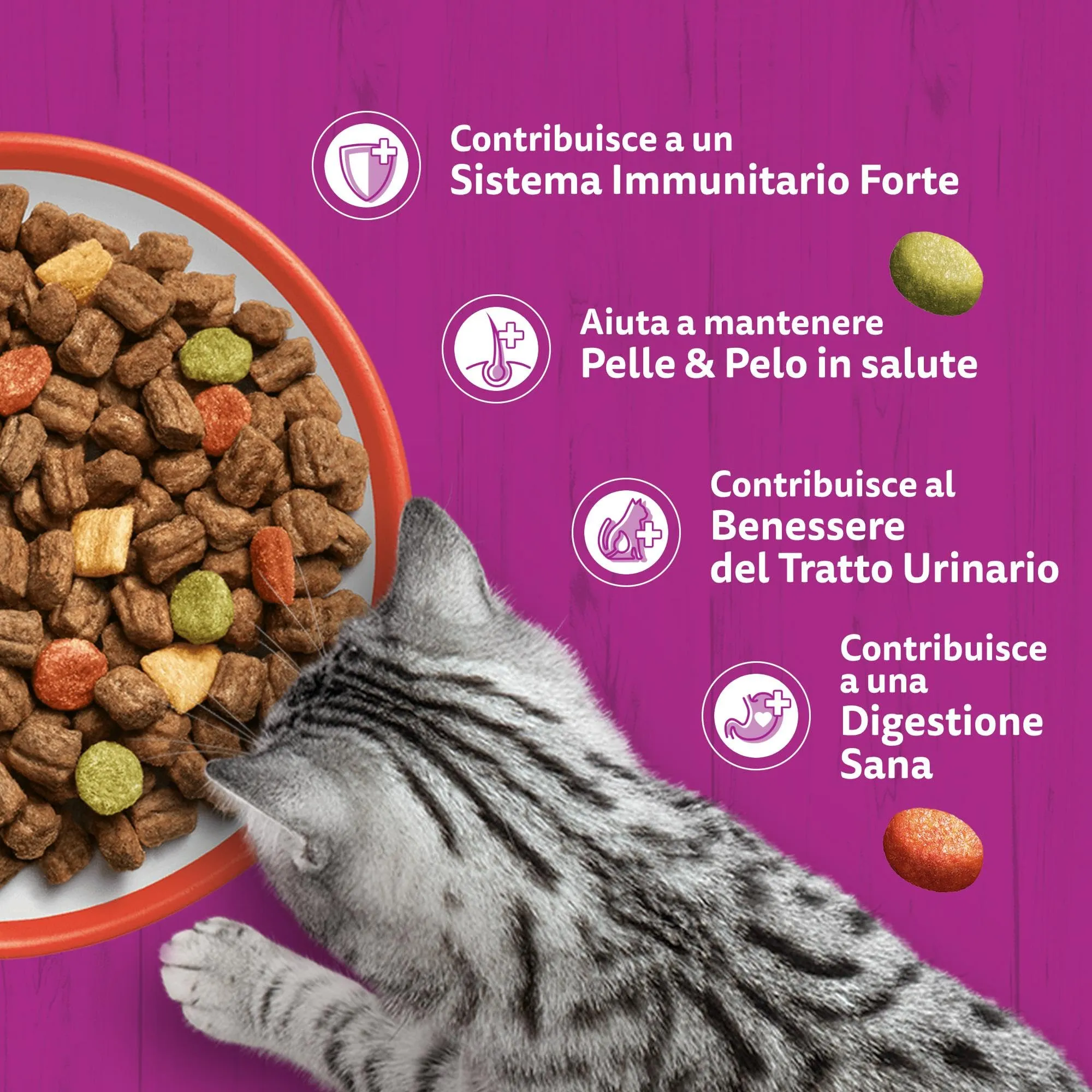 WHISKAS Cibo Secco per Gatti Adulti 300g con Manzo, confezione da 14 - immagine 5