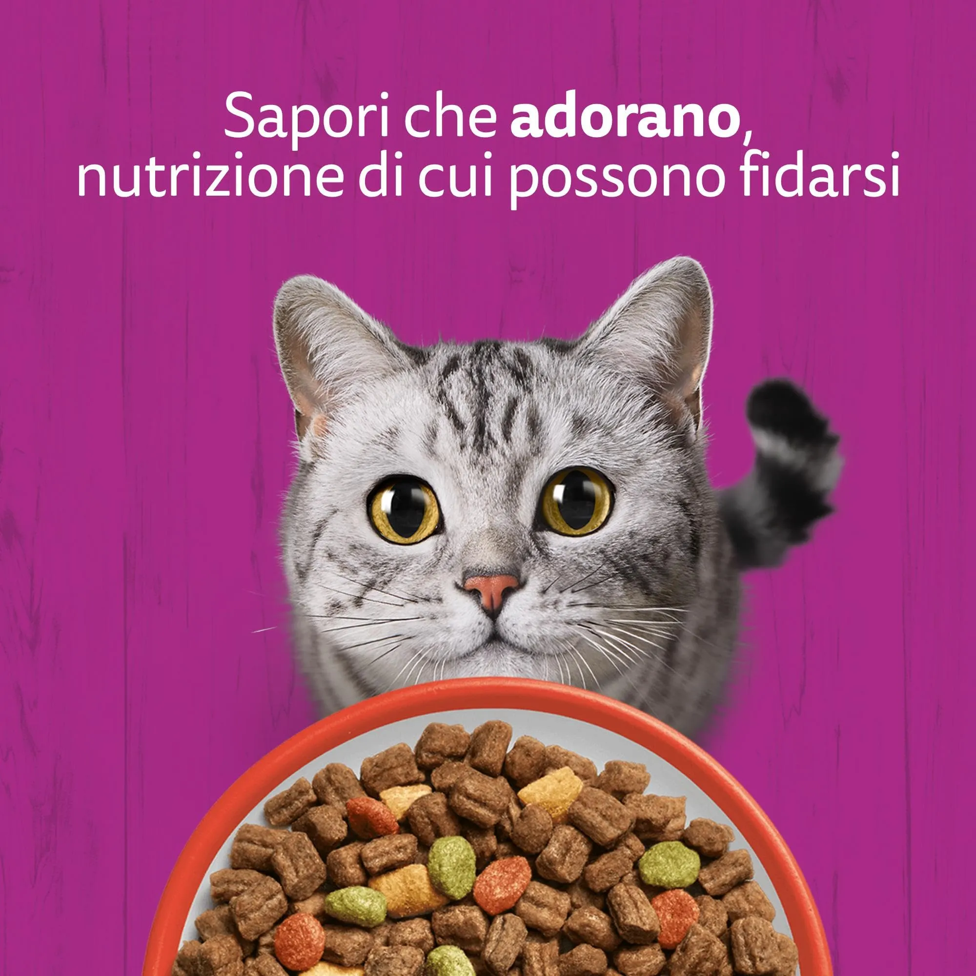 WHISKAS Cibo Secco per Gatti Adulti 300g con Manzo, confezione da 14 - immagine 7