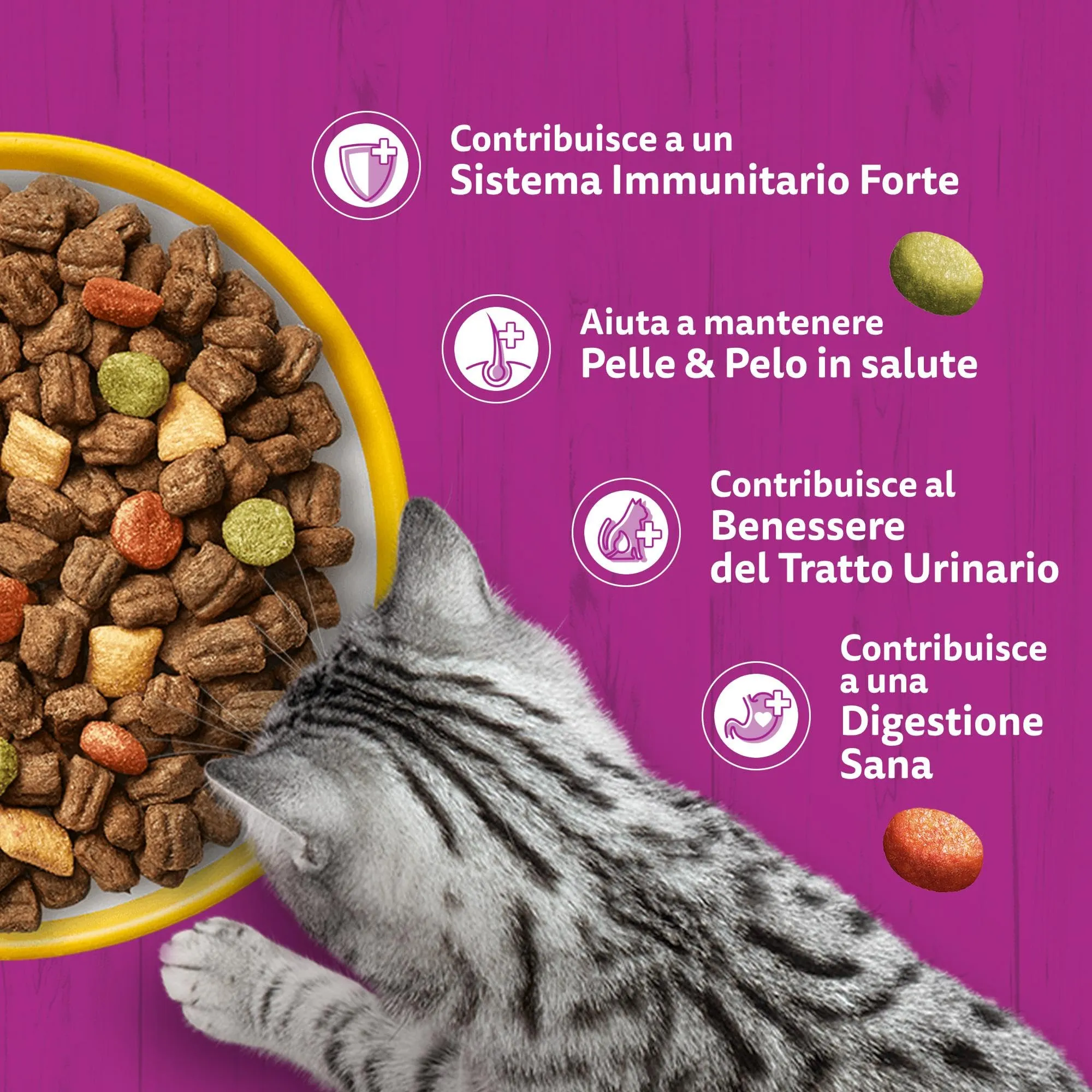 WHISKAS Cibo Secco per Gatti Adulti 300g con Pollo, confezione da 14 - immagine 6