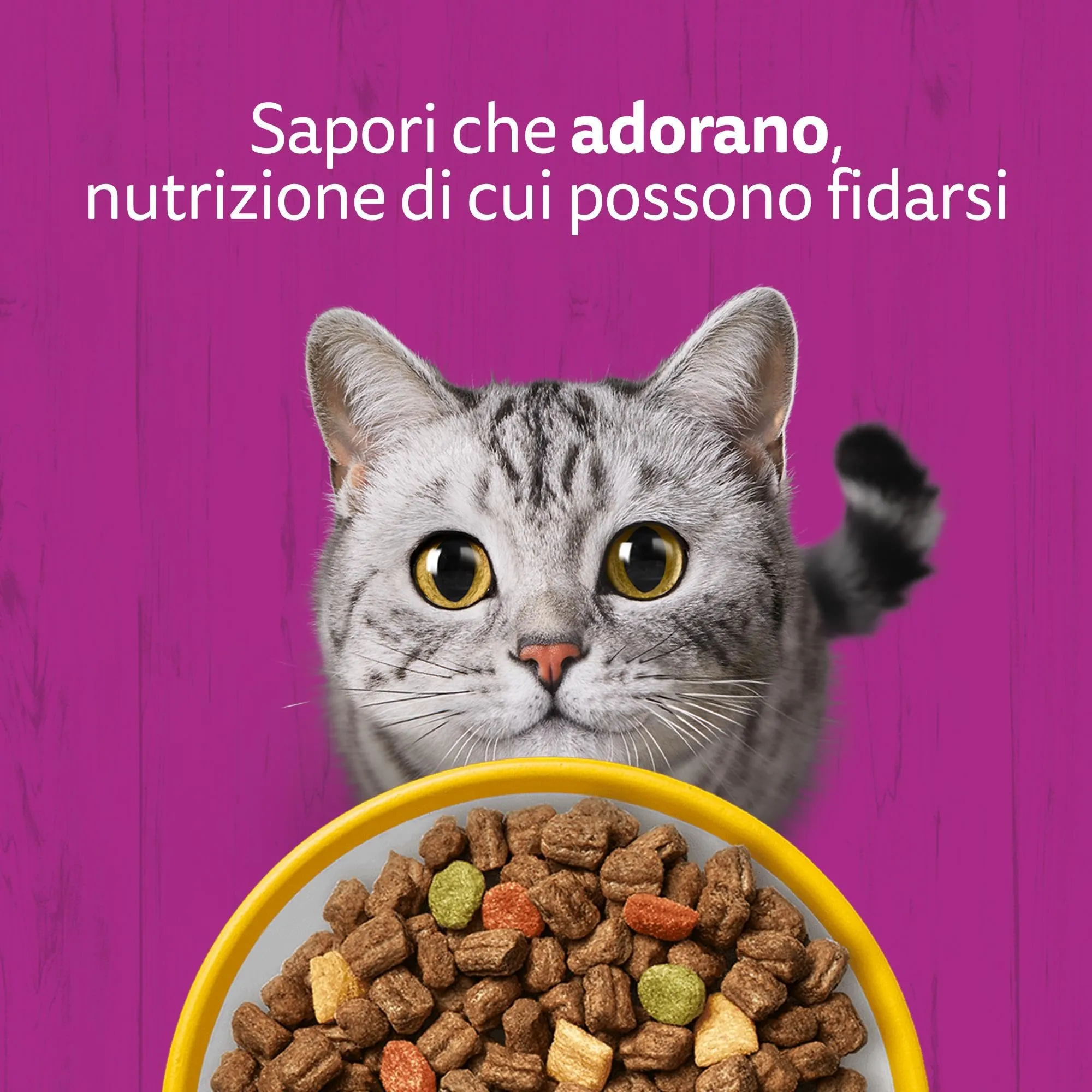 WHISKAS Cibo Secco per Gatti Adulti 300g con Pollo, confezione da 14 - immagine 8