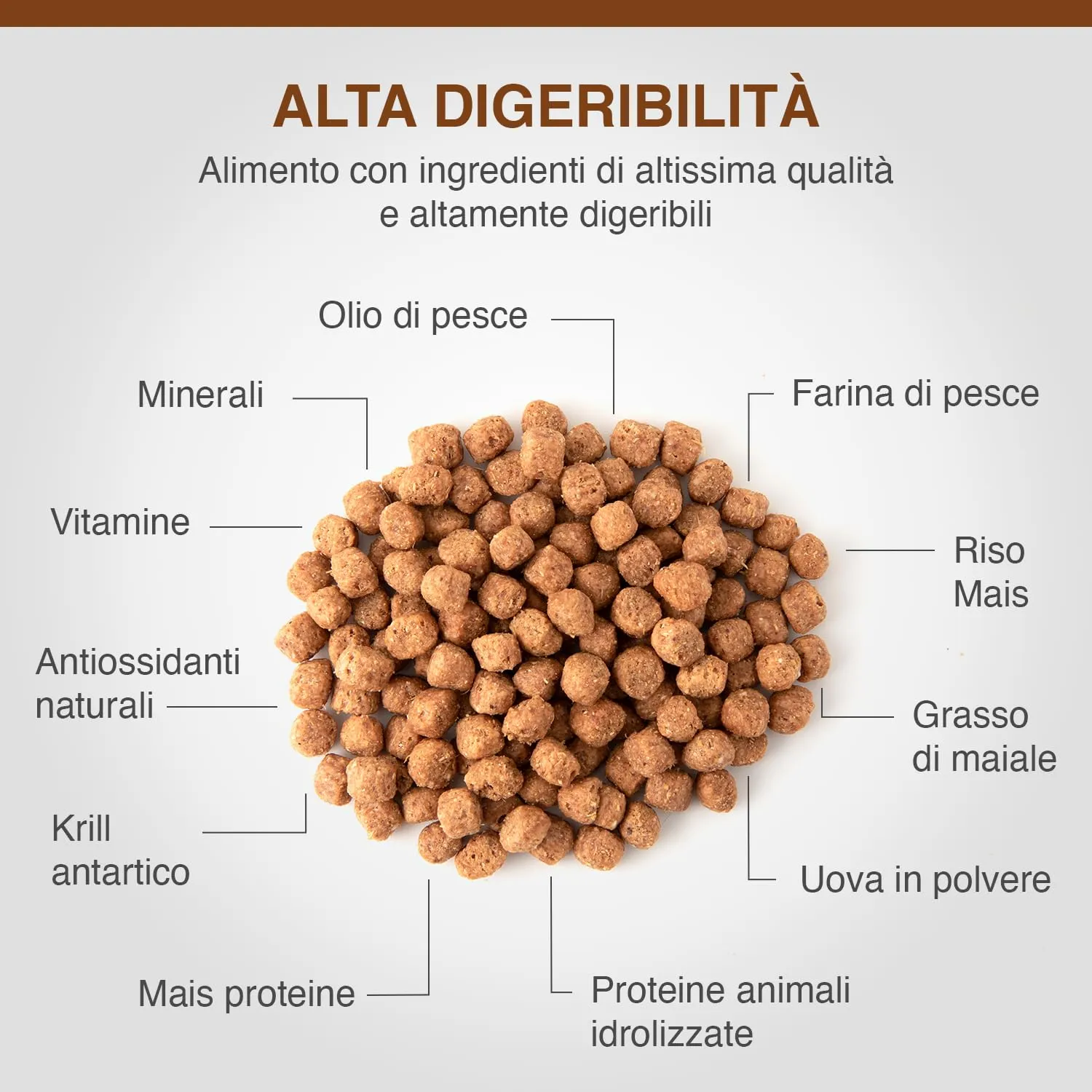 SPECIFIC® Digestive Support (FID) - 2kg - Crocchette per gatti di tutte le età - Rafforza la flora intestinale - Ricco di vitamine e minerali - Arricchito con postbiotici - DECHRA Veterinary Products - immagine 3