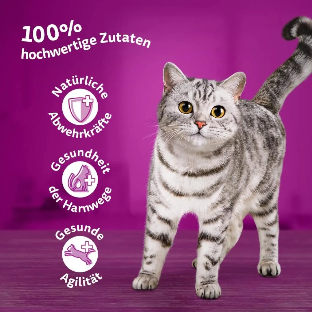 Whiskas 7+ cibo per gatti, pollame a scelta in salsa, 12 x 85 g (4 confezioni) – cibo umido di alta qualità a partire dai 7 anni in 48 sacchetti - immagine 3
