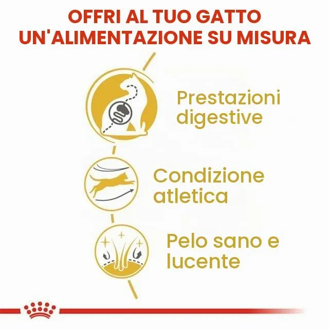 Royal Canin Bengal Adult | Confezione Doppia | 2 x 400 g | Alimento completo per gatti | Specifico per gatti bengalesi adulti | A partire dal 12° mese | Cibo secco per gatti bengalesi - immagine 7