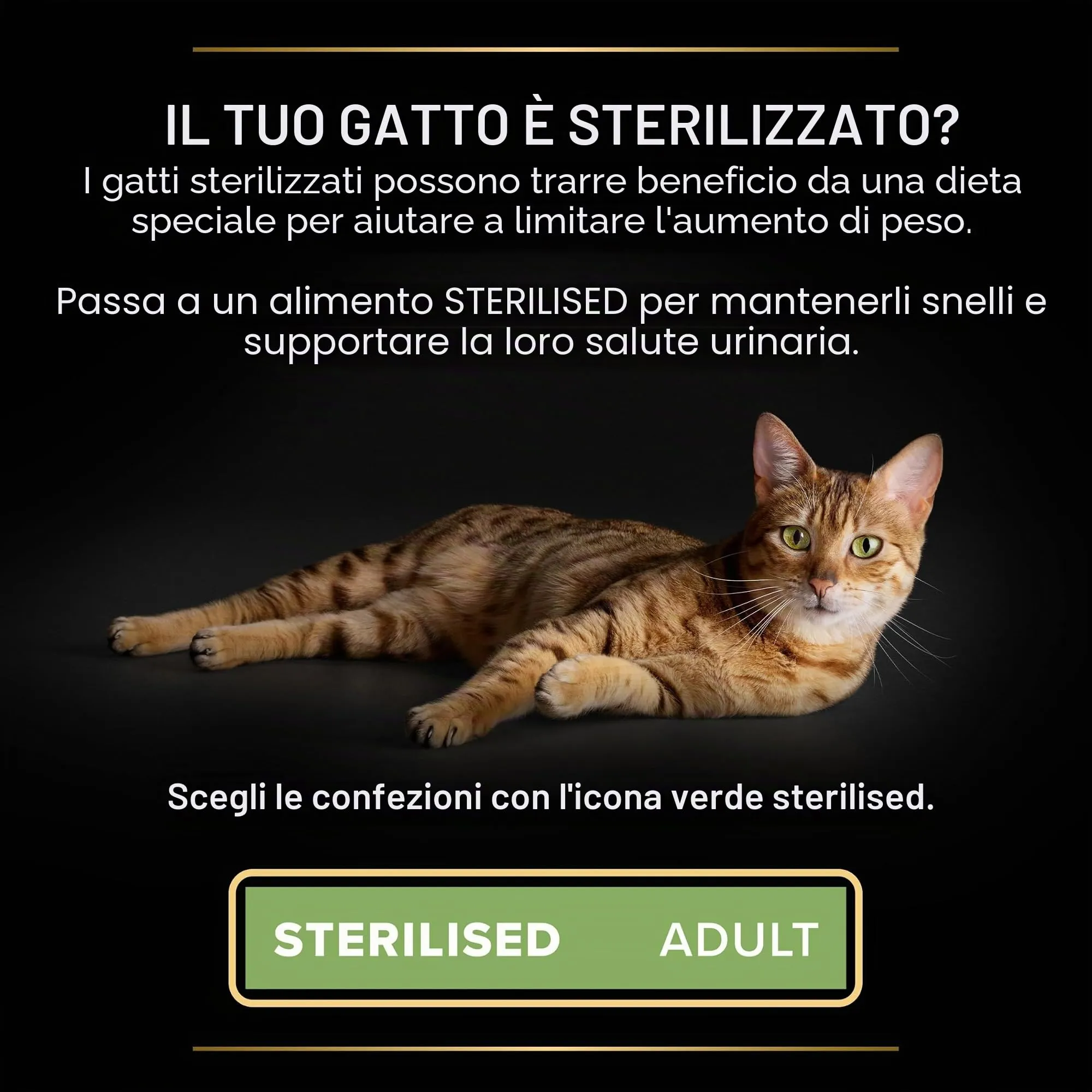 PURINA PRO PLAN Cibo Umido per Gatti Adulti Sterilizzati, 40 Bustine da 85g - immagine 4