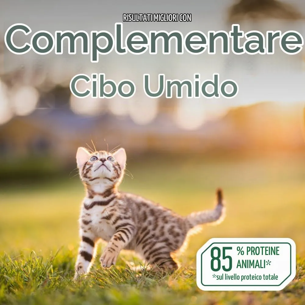 Nature's Protection Superior Care Cibo umido per gattini, Tonno 24 x 70 g - immagine 9