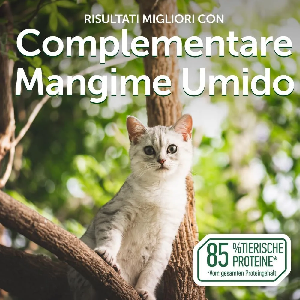 Nature's Protection Superior Care Umido gatti, Tonno e gamberetti 24 x 70 g - immagine 9