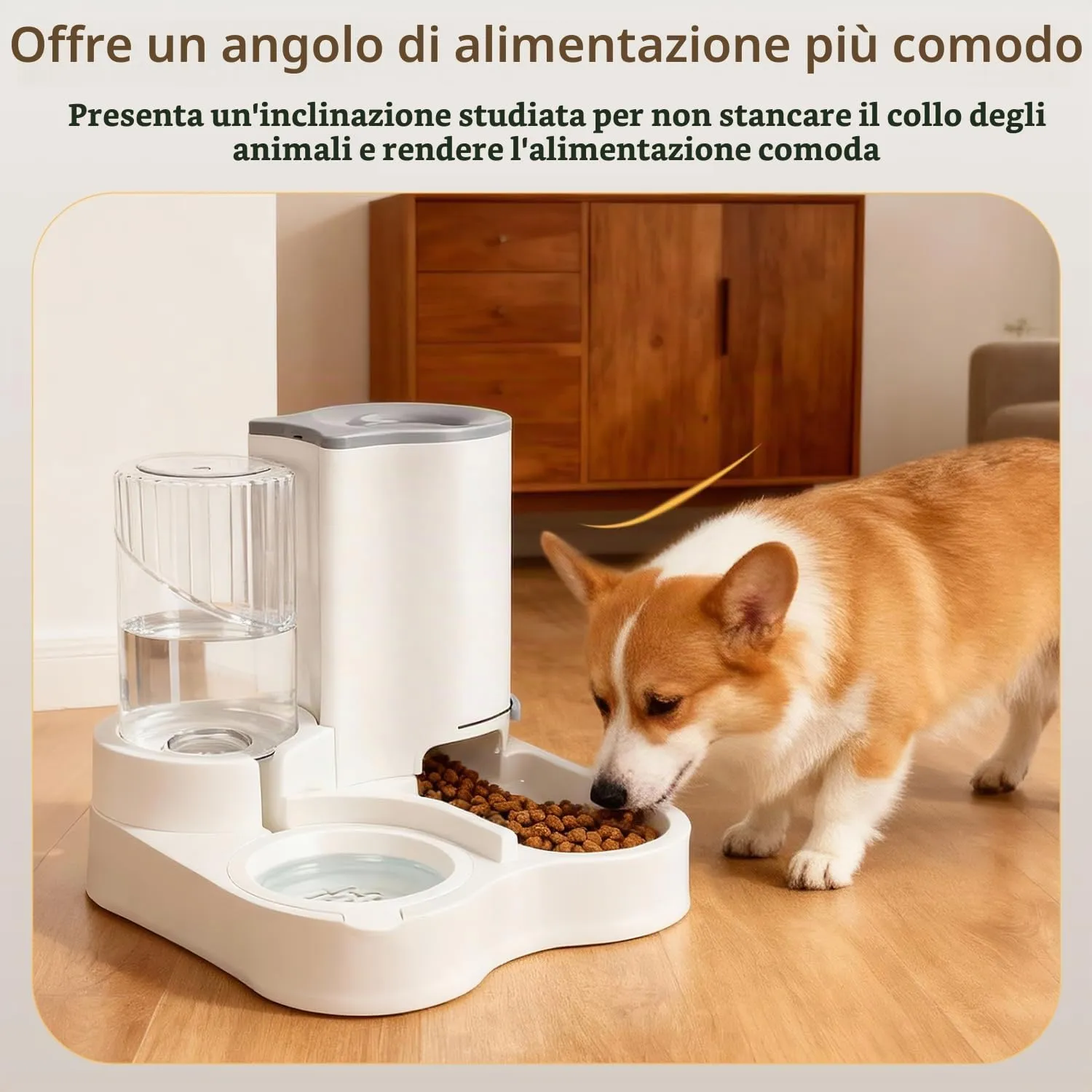 Nobleza Distributore per Gatti 2 in 1 con Fontana - Dispenser gravità Cibo 2.2L e Acqua 1L, Igienico Salvaspazio, Senza Elettricità, Design Moderno (Grigio) - immagine 5