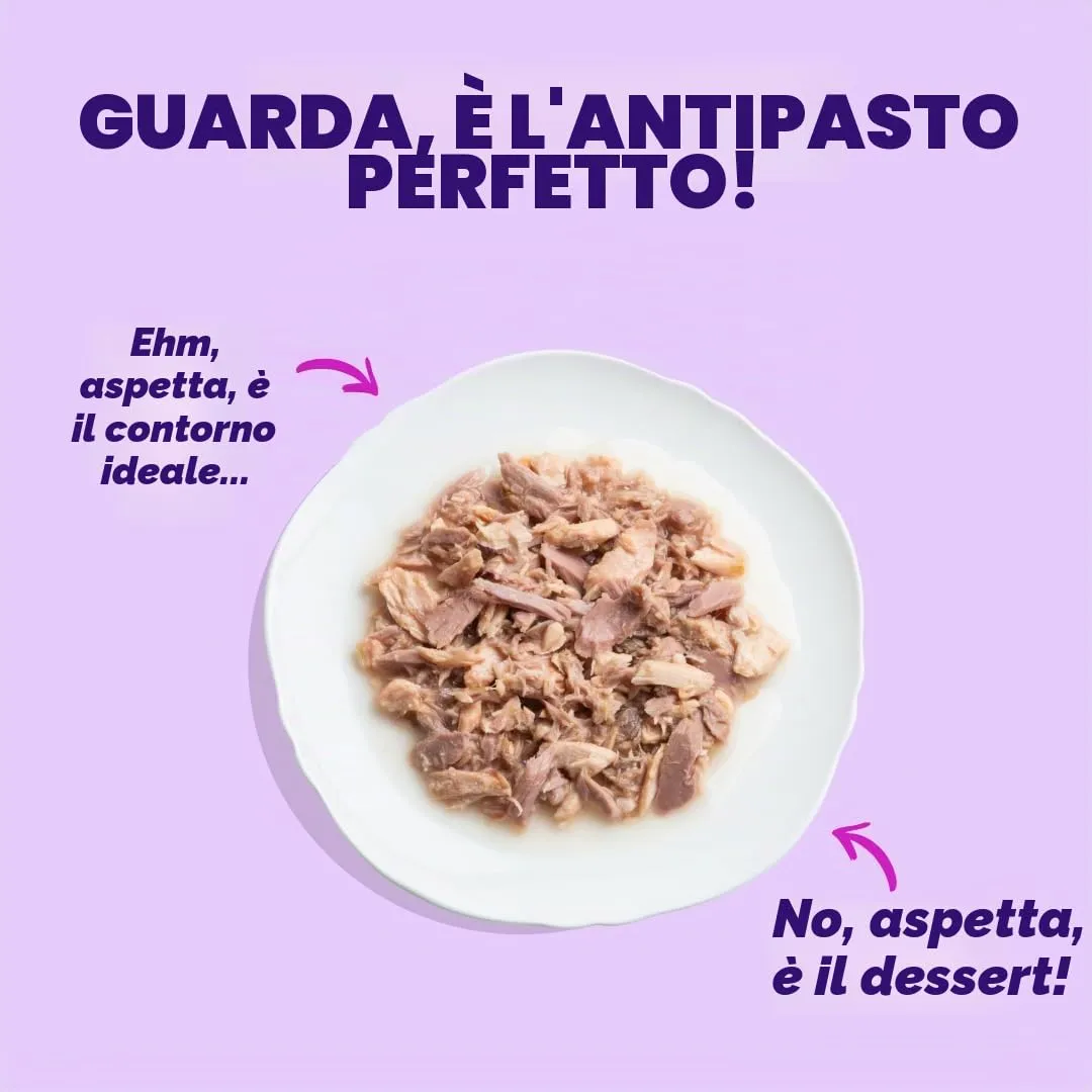 Edgard & Cooper Cibo Umido per Gatti, Sfilaccetti in Brodo, Salmone & Tonno 24 x 70g, Cibo per Gatti Senza Cereali, Ingredienti Naturali, Anche per Gatti Sterilizzati, No Zuccheri Aggiunti - immagine 4