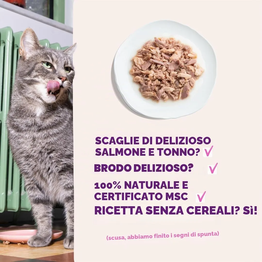 Edgard & Cooper Cibo Umido per Gatti, Sfilaccetti in Brodo, Salmone & Tonno 24 x 70g, Cibo per Gatti Senza Cereali, Ingredienti Naturali, Anche per Gatti Sterilizzati, No Zuccheri Aggiunti - immagine 5