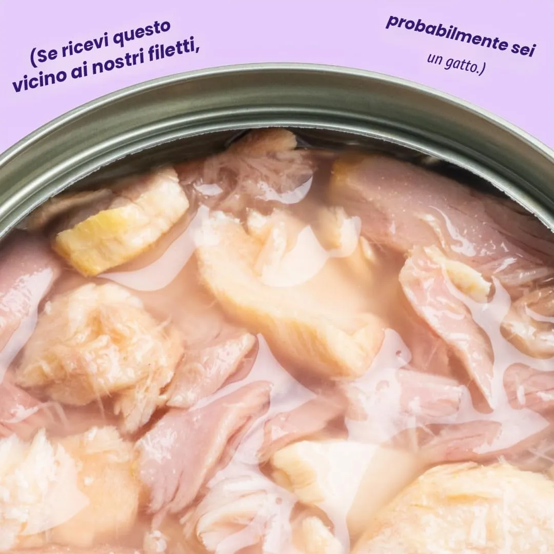 Edgard & Cooper Cibo Umido per Gatti, Sfilaccetti in Brodo, Salmone & Tonno 24 x 70g, Cibo per Gatti Senza Cereali, Ingredienti Naturali, Anche per Gatti Sterilizzati, No Zuccheri Aggiunti - immagine 6