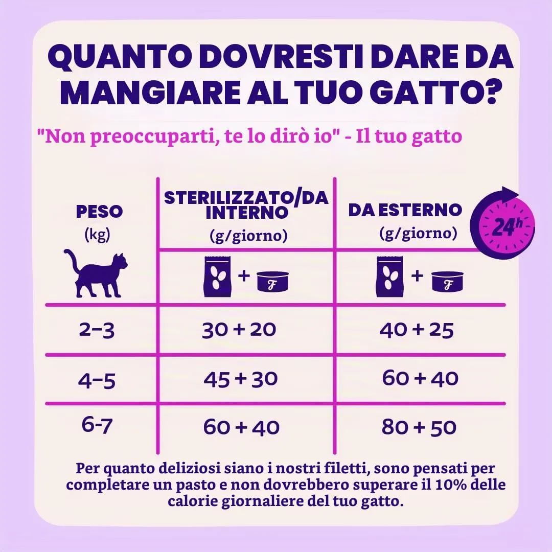Edgard & Cooper Cibo Umido per Gatti, Sfilaccetti in Brodo, Salmone & Tonno 24 x 70g, Cibo per Gatti Senza Cereali, Ingredienti Naturali, Anche per Gatti Sterilizzati, No Zuccheri Aggiunti - immagine 7