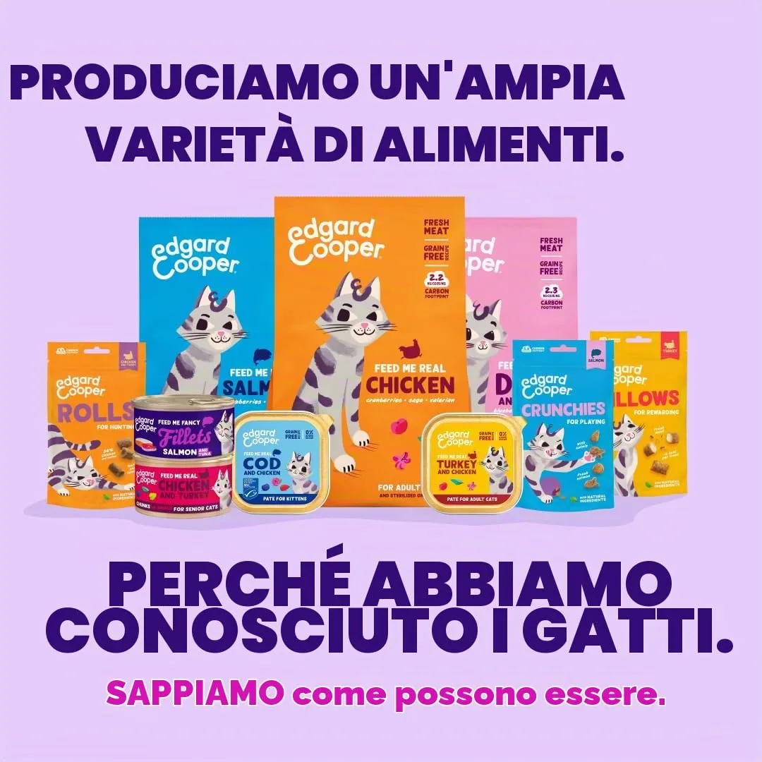 Edgard & Cooper Cibo Umido per Gatti, Sfilaccetti in Brodo, Salmone & Tonno 24 x 70g, Cibo per Gatti Senza Cereali, Ingredienti Naturali, Anche per Gatti Sterilizzati, No Zuccheri Aggiunti - immagine 8