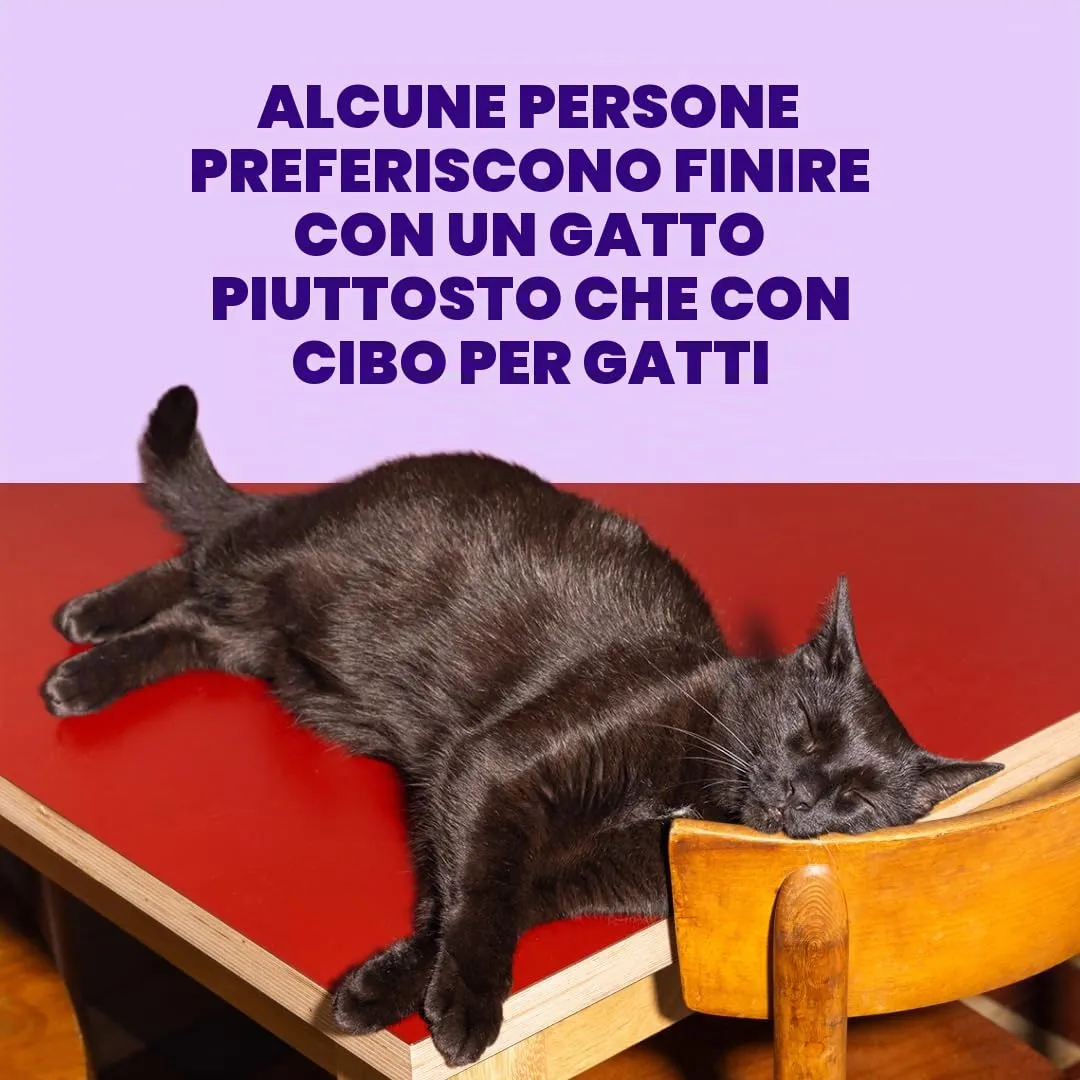 Edgard & Cooper Cibo Umido per Gatti, Sfilaccetti in Brodo, Salmone & Tonno 24 x 70g, Cibo per Gatti Senza Cereali, Ingredienti Naturali, Anche per Gatti Sterilizzati, No Zuccheri Aggiunti - immagine 9