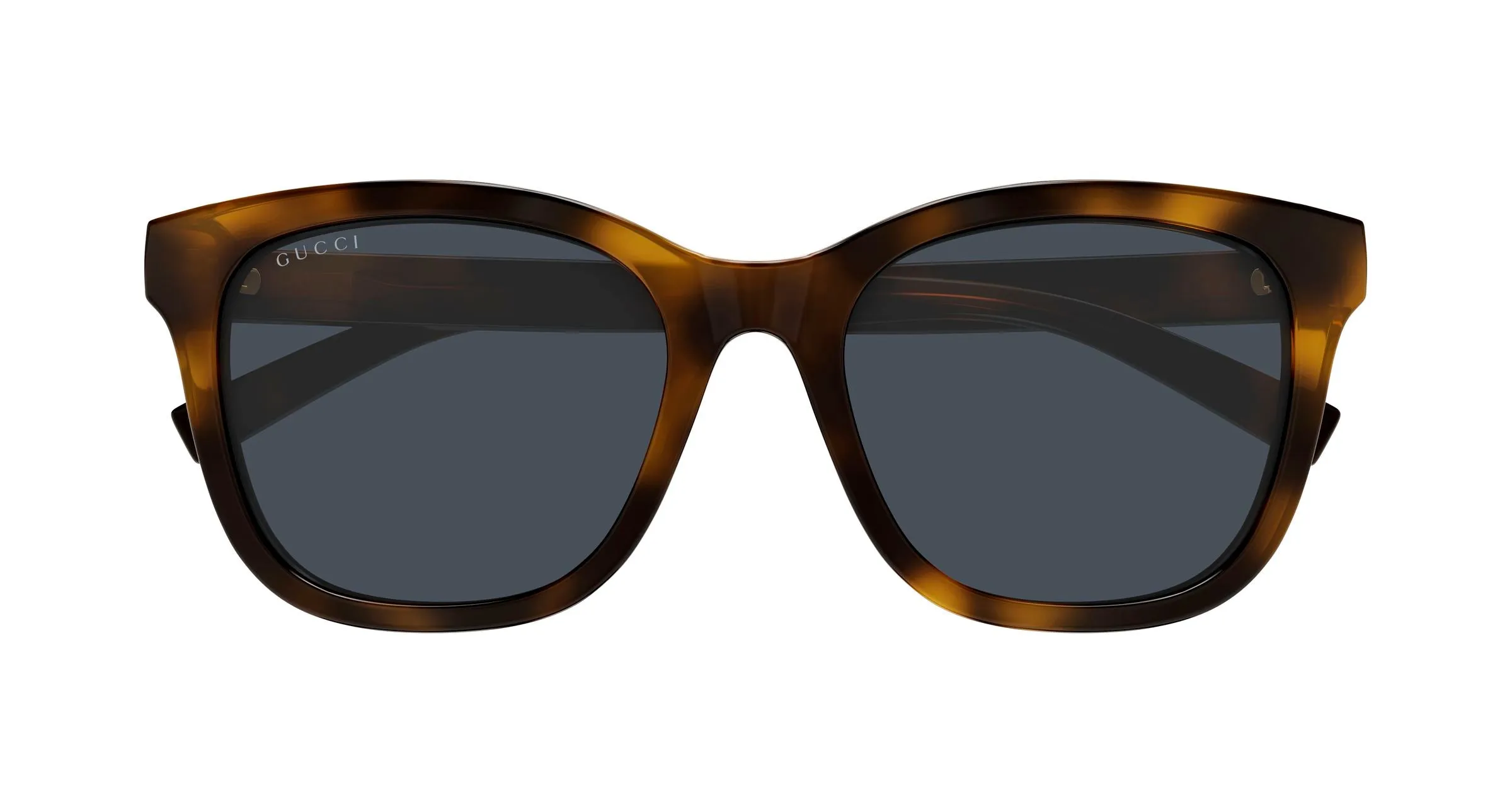 Gucci GG1984SK 002 Occhiali da sole Iniettato Havana Blu Rotonda - immagine 2