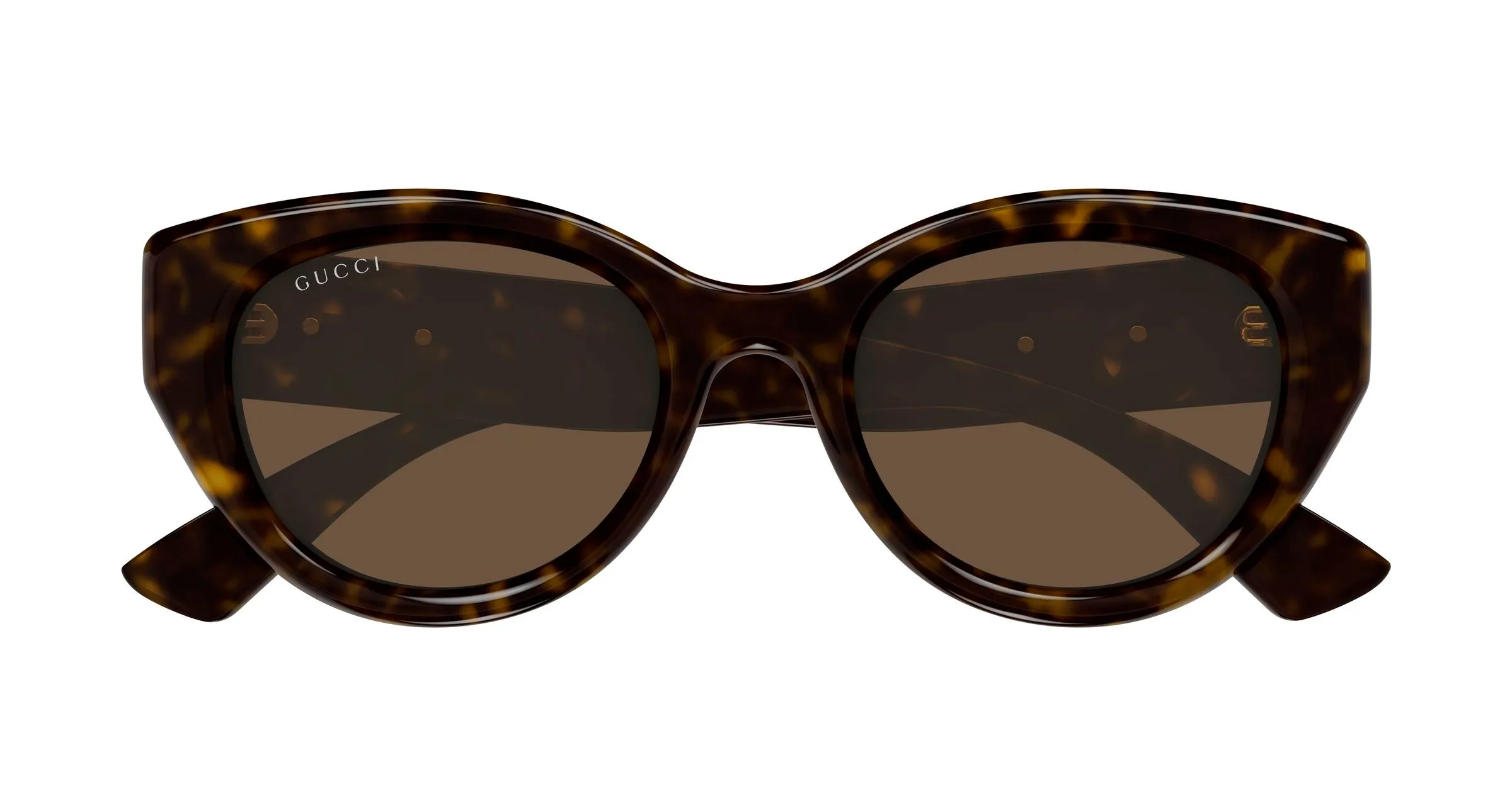 Gucci GG1976SK 003 Occhiali da sole Iniettato Havana Marrone Rotonda - immagine 2