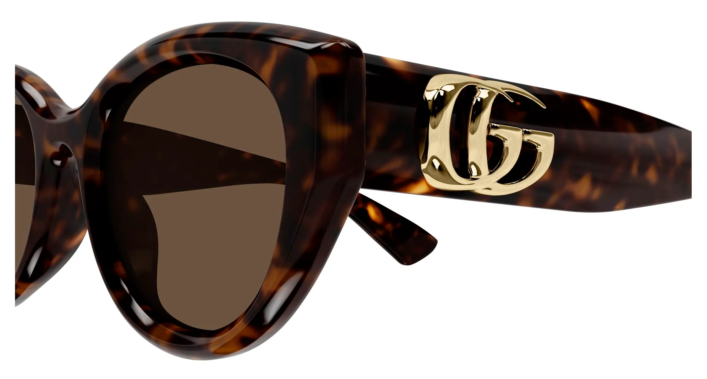 Gucci GG1976SK 003 Occhiali da sole Iniettato Havana Marrone Rotonda - immagine 3