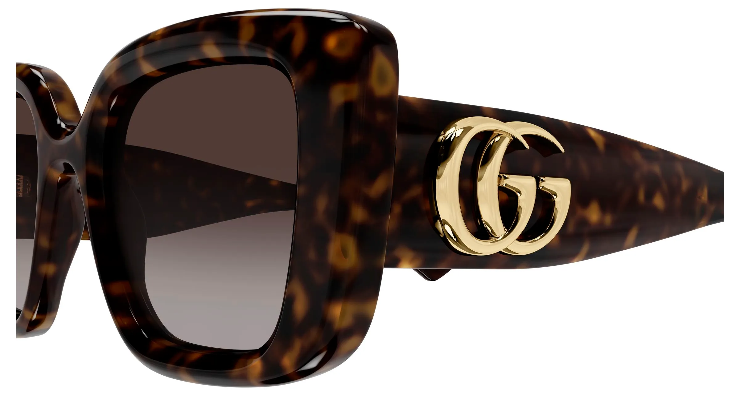 Gucci GG1975S 003 Occhiali da sole Iniettato Havana Marrone Farfalla - immagine 3