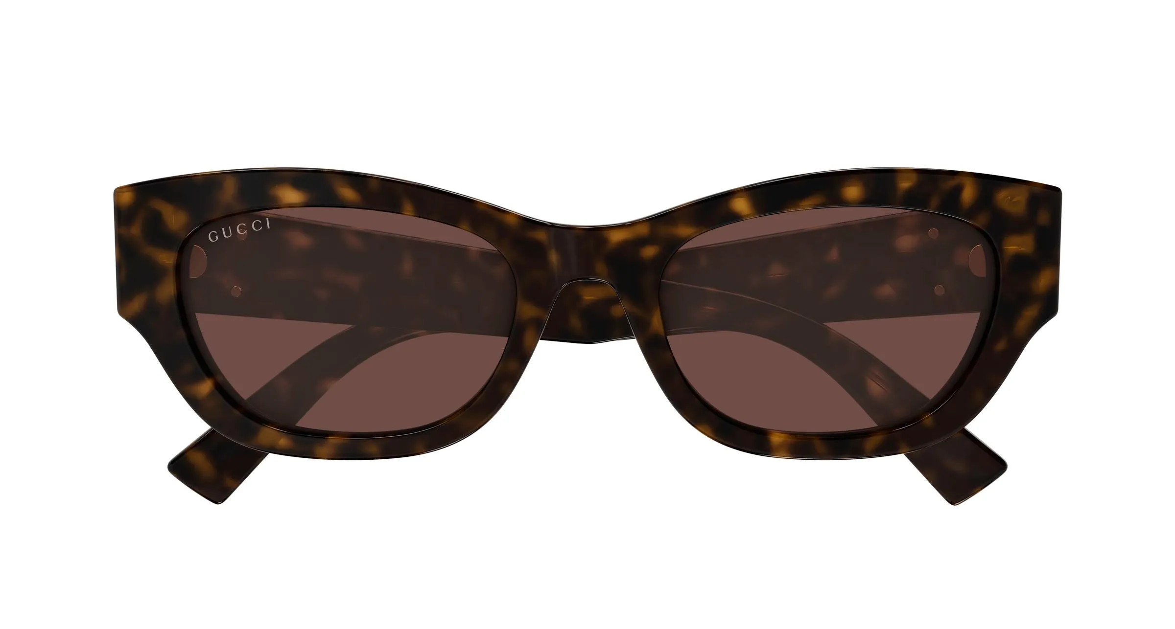 Gucci GG1954SA 002 Occhiali da sole Acetato Havana Marrone Cat Eye - immagine 2