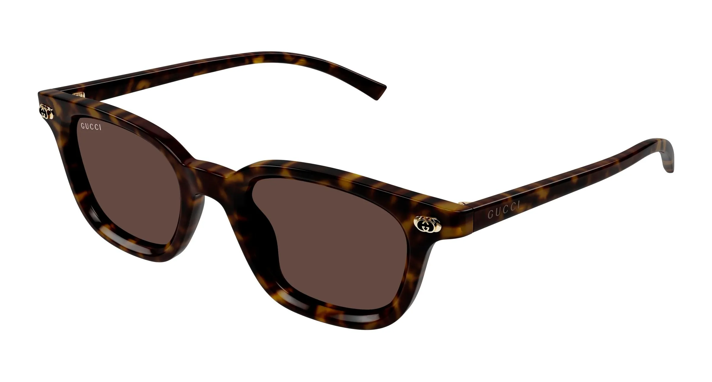 Gucci GG1946S 002 Occhiali da sole Acetato Havana Marrone Rotonda - immagine 1