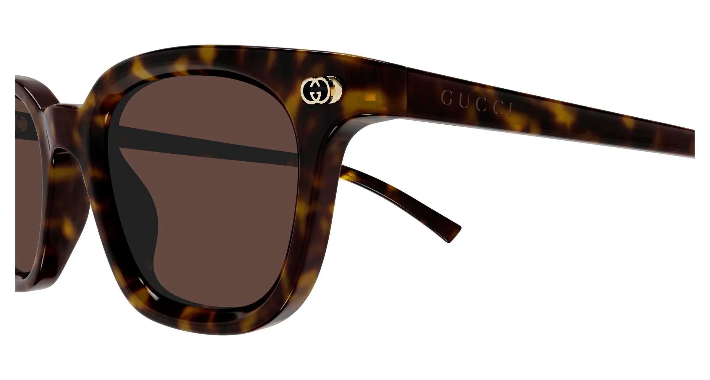 Gucci GG1946S 002 Occhiali da sole Acetato Havana Marrone Rotonda - immagine 3