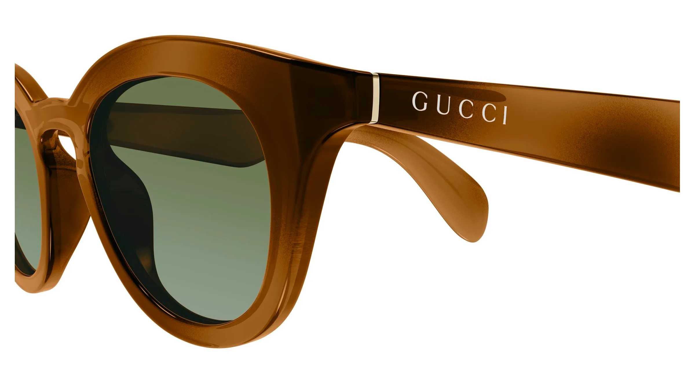 Gucci GG1934S 002 Occhiali da sole Iniettato Havana Verde Squadrata - immagine 3