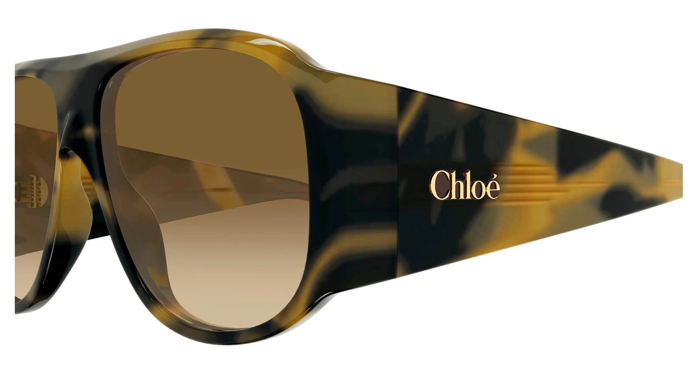Chloé CH0347S 005 Occhiali da sole Acetato Havana Marrone Pilot - immagine 3