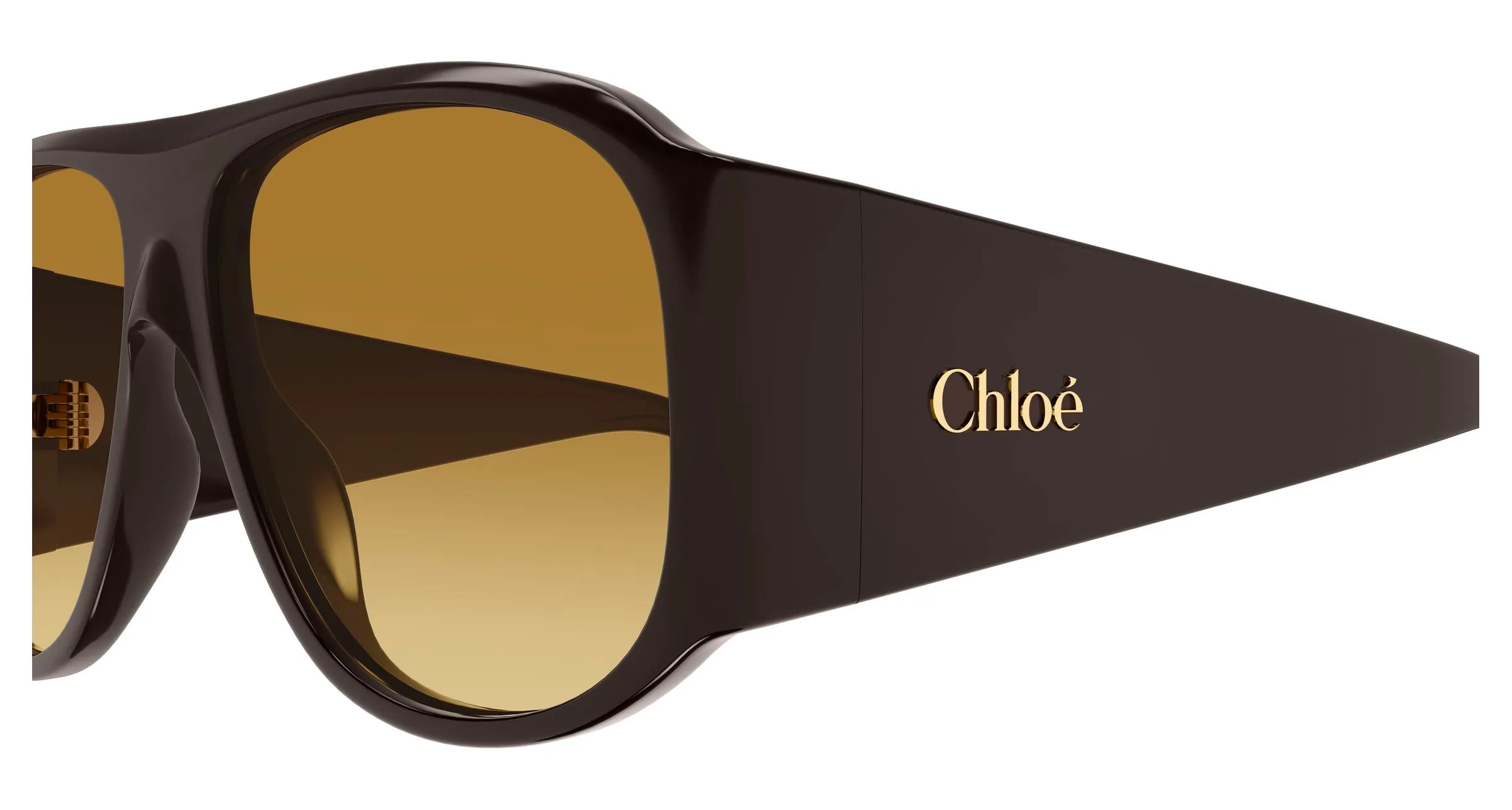 Chloé CH0347S 001 Occhiali da sole Acetato Marrone Marrone Pilot - immagine 3