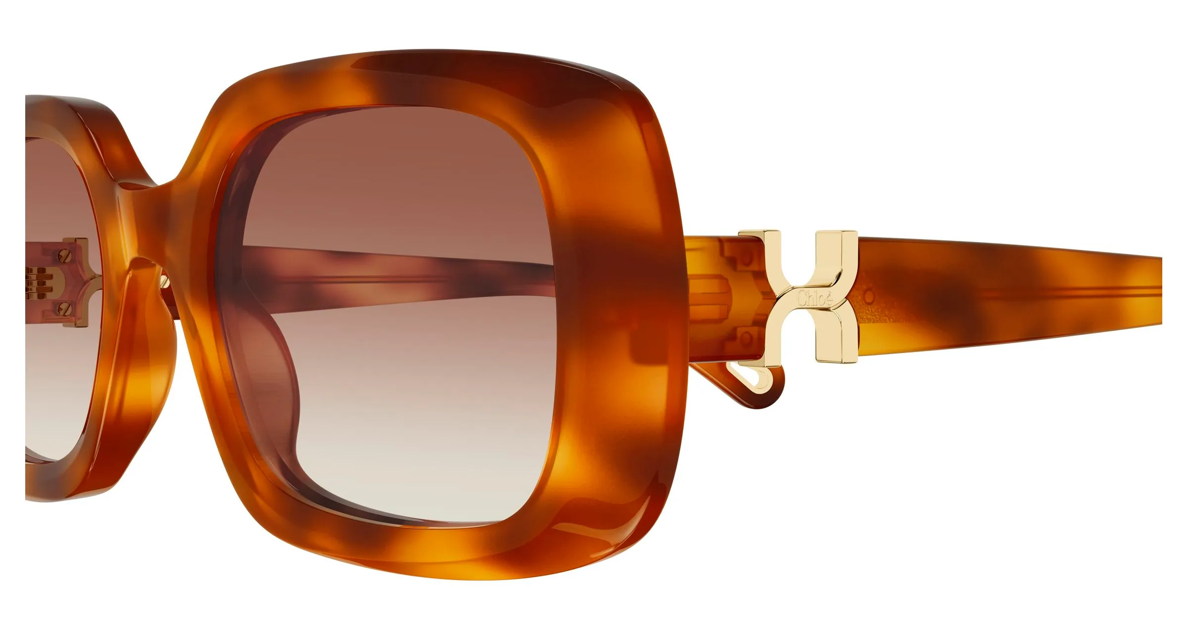 Chloé CH0333S 003 Occhiali da sole Acetato Havana Marrone Squadrata - immagine 3