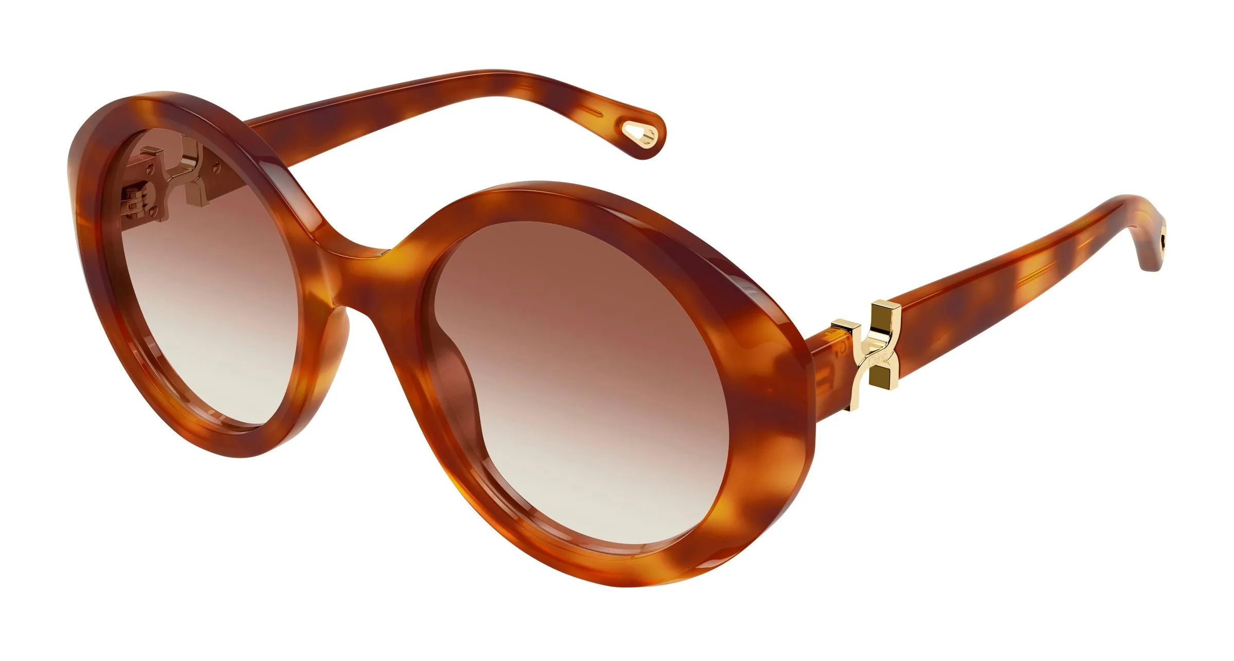 Chloé CH0332S 003 Occhiali da sole Acetato Havana Marrone Rotonda - immagine 1