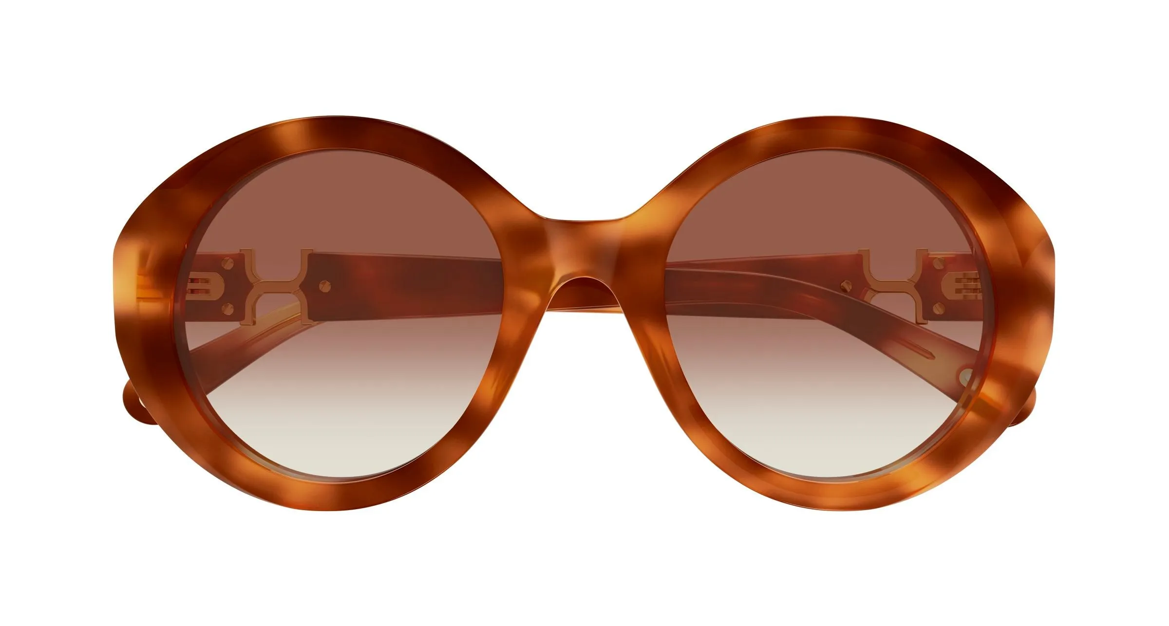 Chloé CH0332S 003 Occhiali da sole Acetato Havana Marrone Rotonda - immagine 2