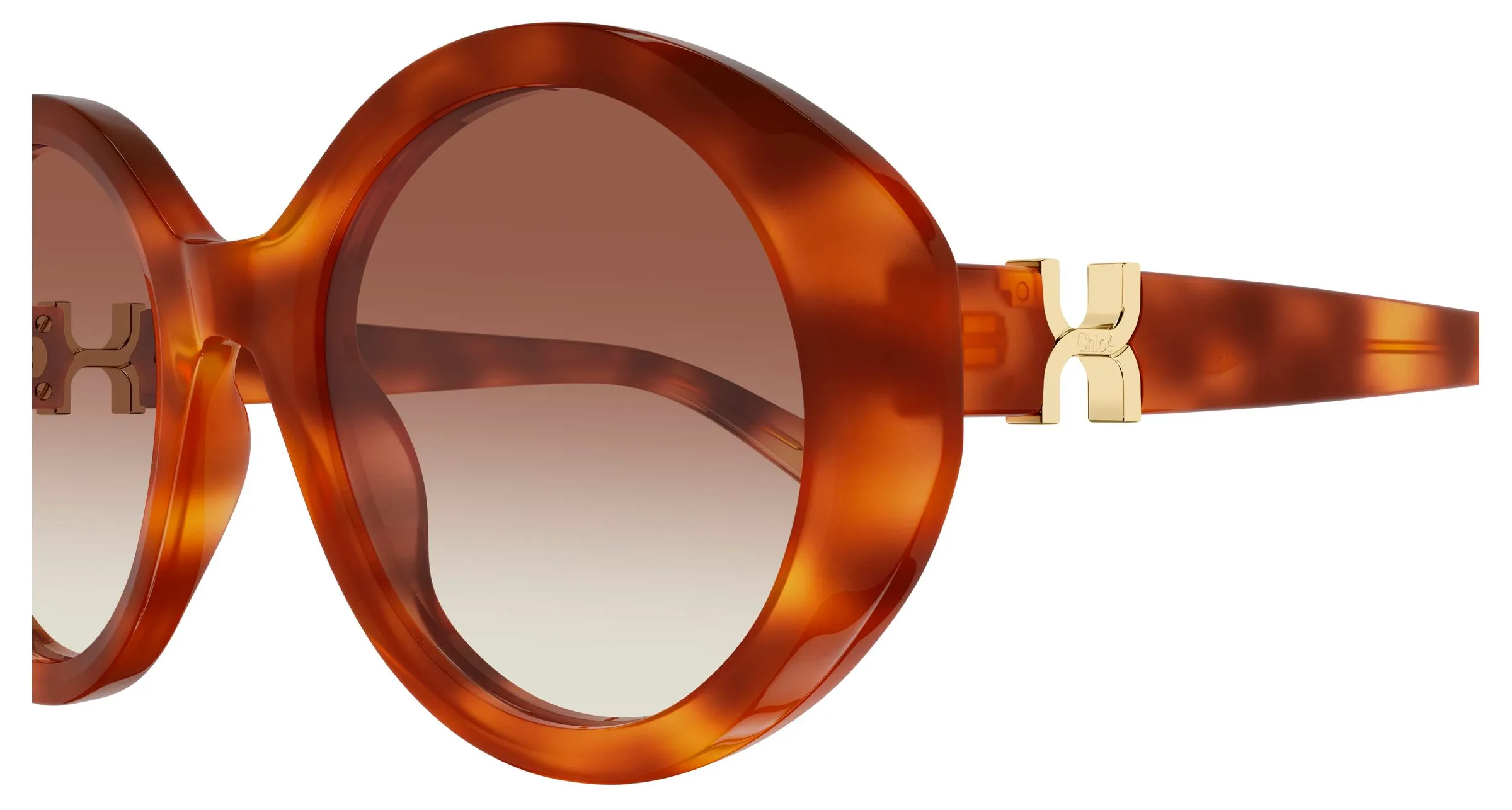 Chloé CH0332S 003 Occhiali da sole Acetato Havana Marrone Rotonda - immagine 3