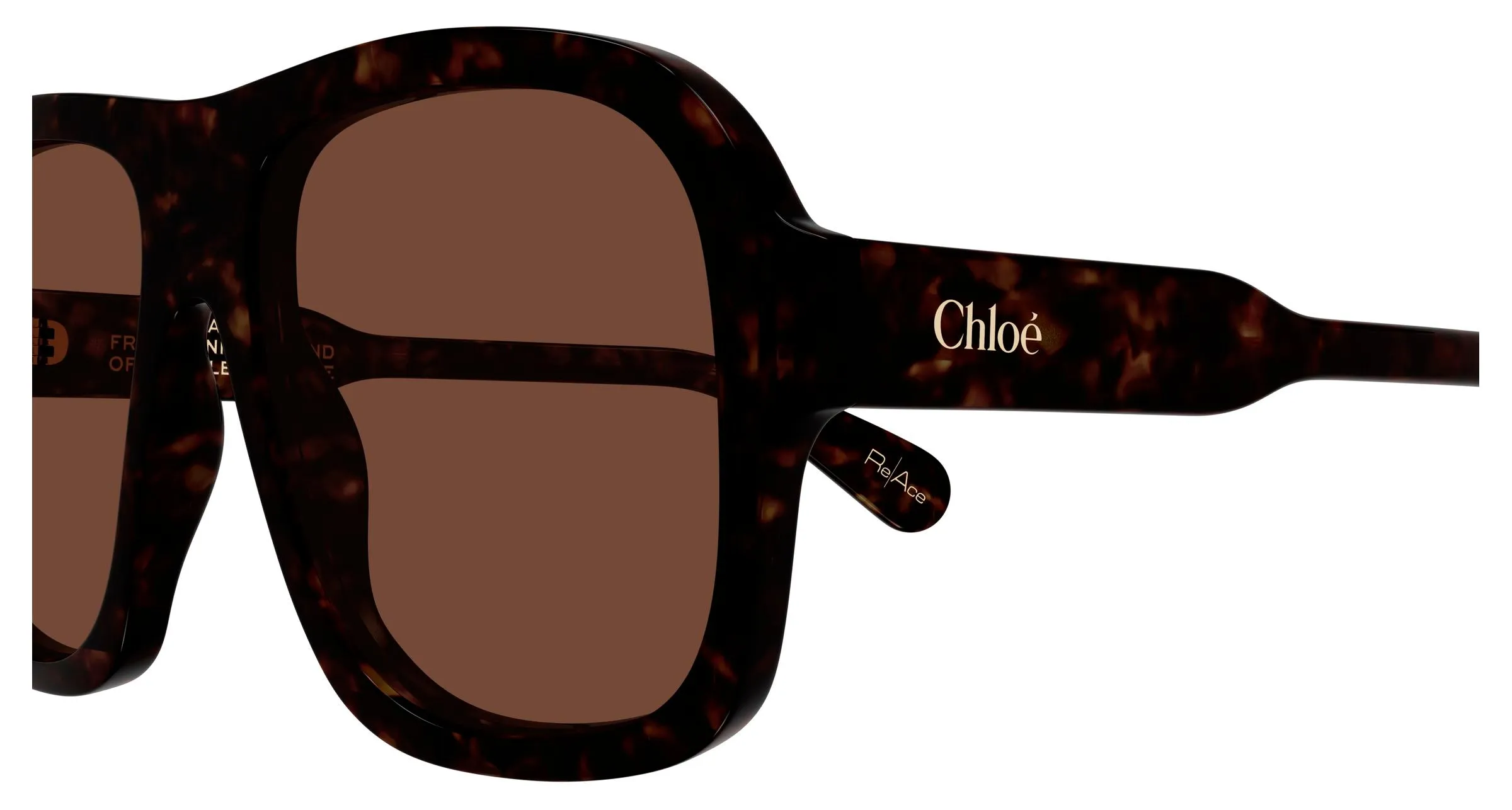 Chloé CH0331S 002 Occhiali da sole Acetato Havana Marrone Pilot - immagine 3