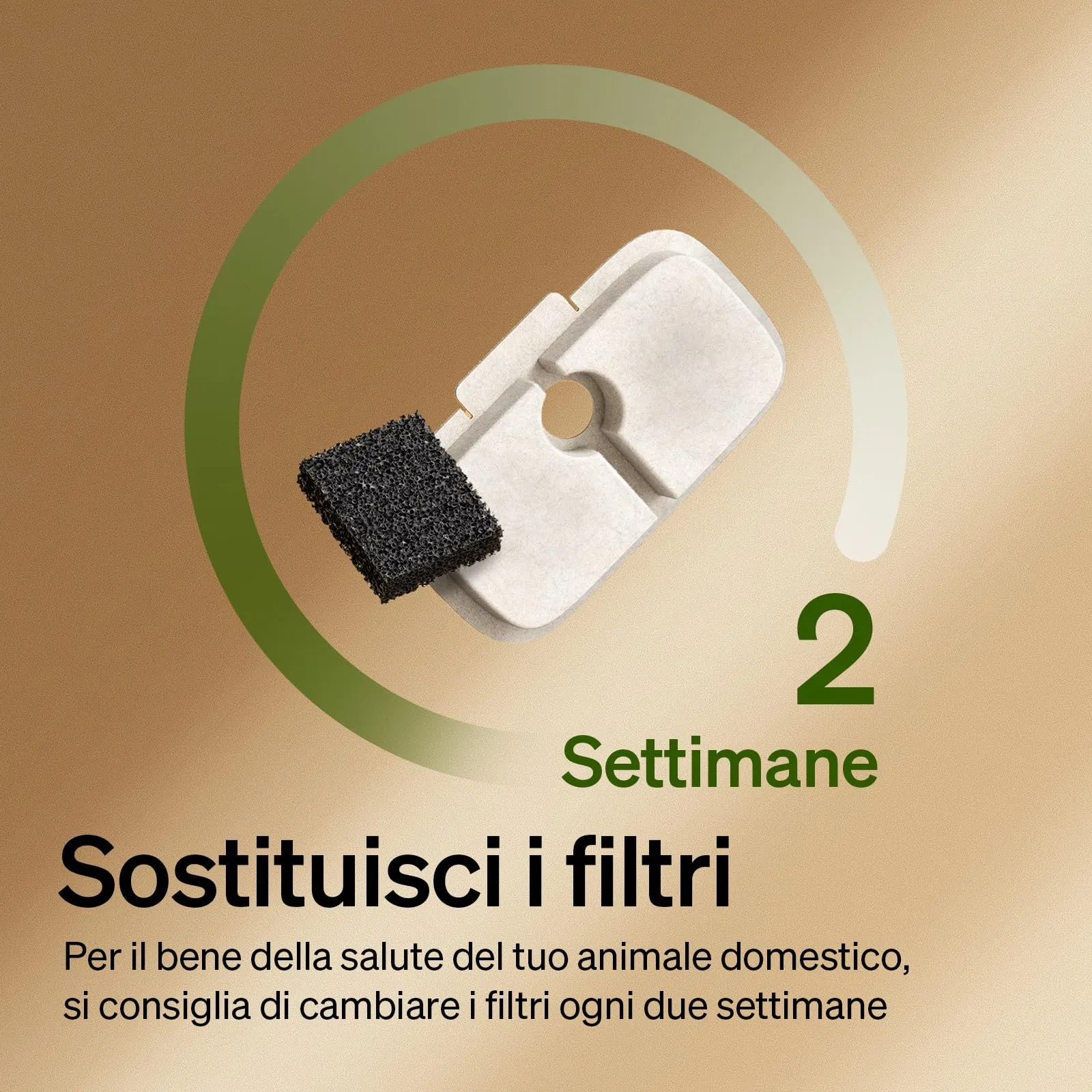 PETLIBRO Filtro Fontanella per Gatti, 4 Filtro di Ricambio per Fontana per Gatti Dockstream PLWF005, PLWF115, PLWF105, Filtro con Filtrazione Verticale per Fontanella Gatto Fontana Gatto - immagine 4